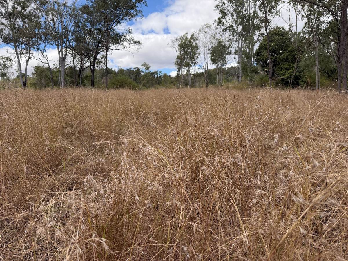 "Six Mile" Cedarvale Road, Boyne Valley For Sale by Farmbuy.com - image 5