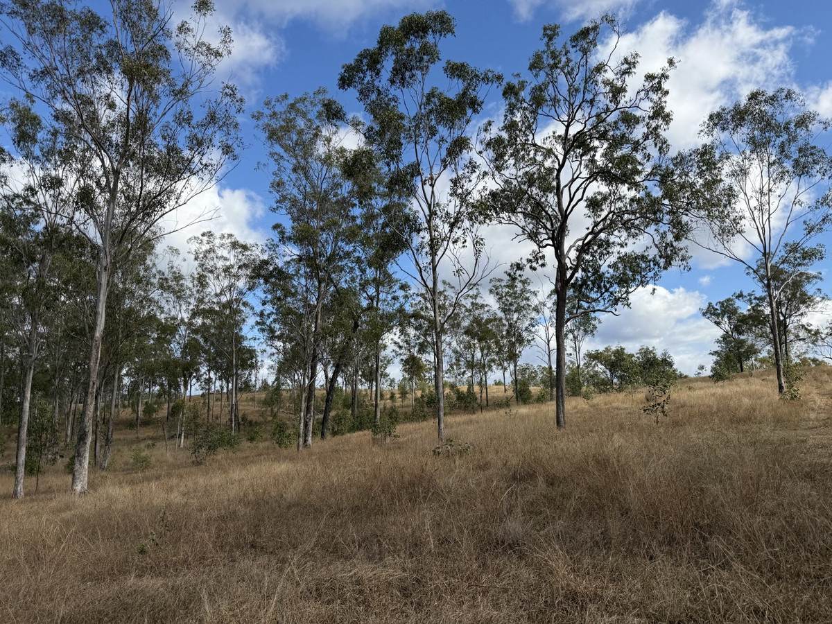 "Six Mile" Cedarvale Road, Boyne Valley For Sale by Farmbuy.com - image 6
