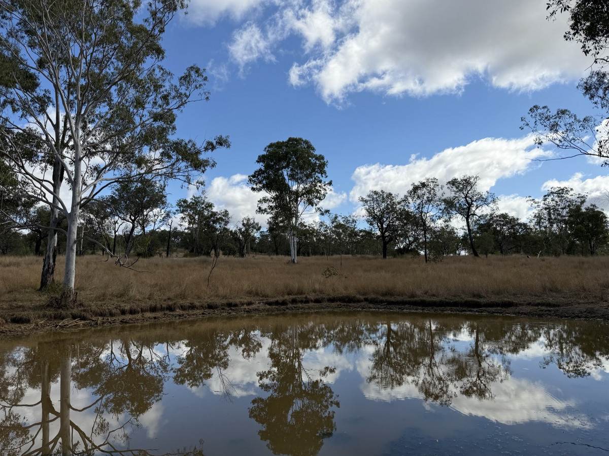 "Six Mile" Cedarvale Road, Boyne Valley For Sale by Farmbuy.com - image 17