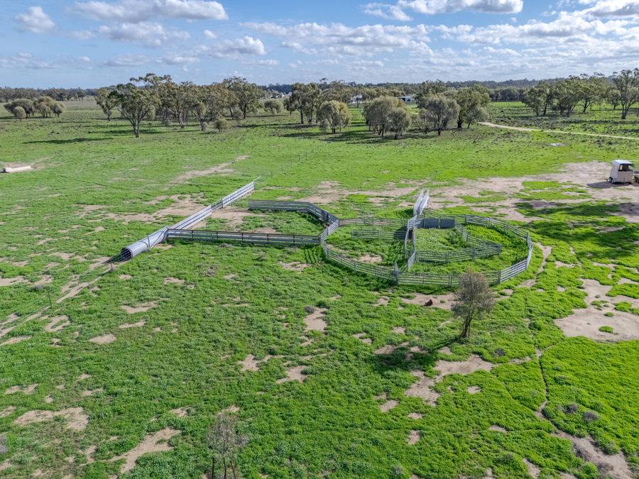 161-163 Bundemar Road, Warren For Sale by Farmbuy.com - image 4