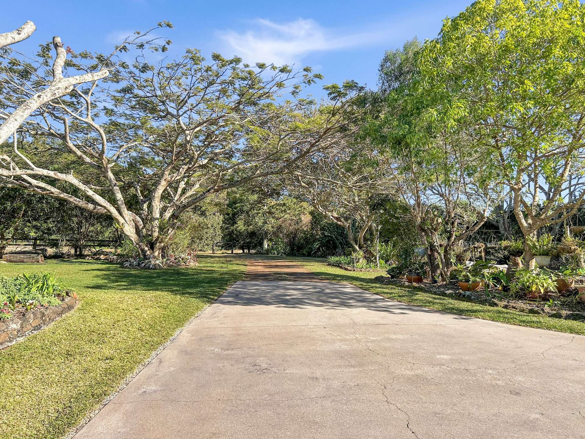 22B Palomino Avenue, Tolga For Sale by Farmbuy.com - image 20