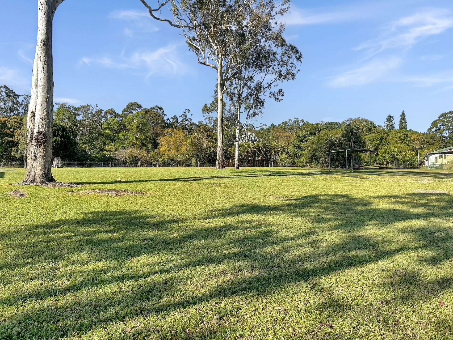 22B Palomino Avenue, Tolga For Sale by Farmbuy.com - image 24