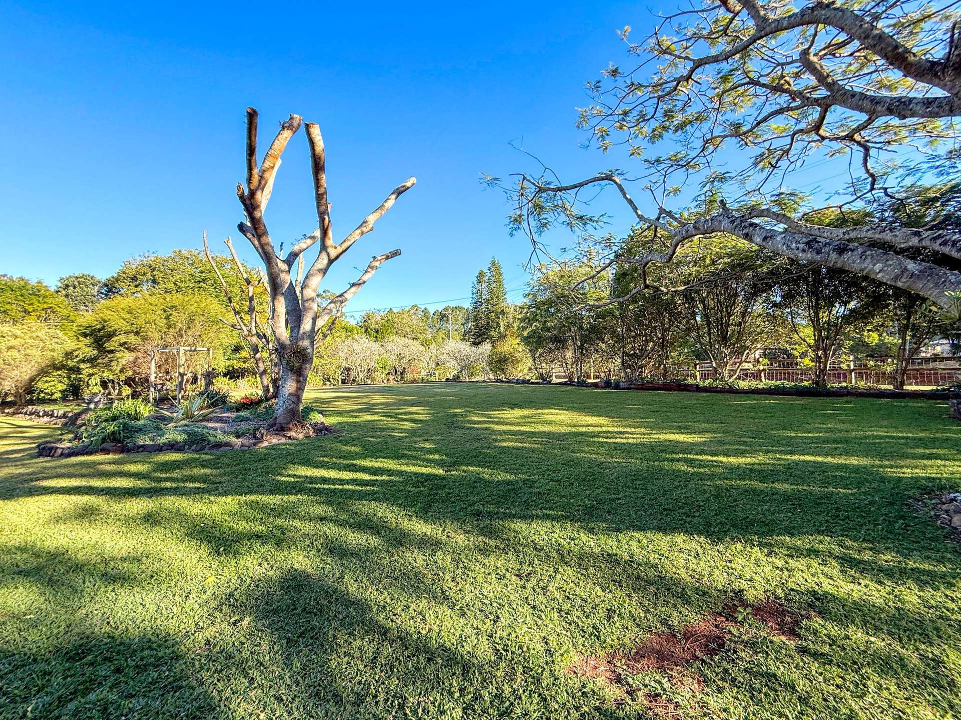 22B Palomino Avenue, Tolga For Sale by Farmbuy.com - image 22
