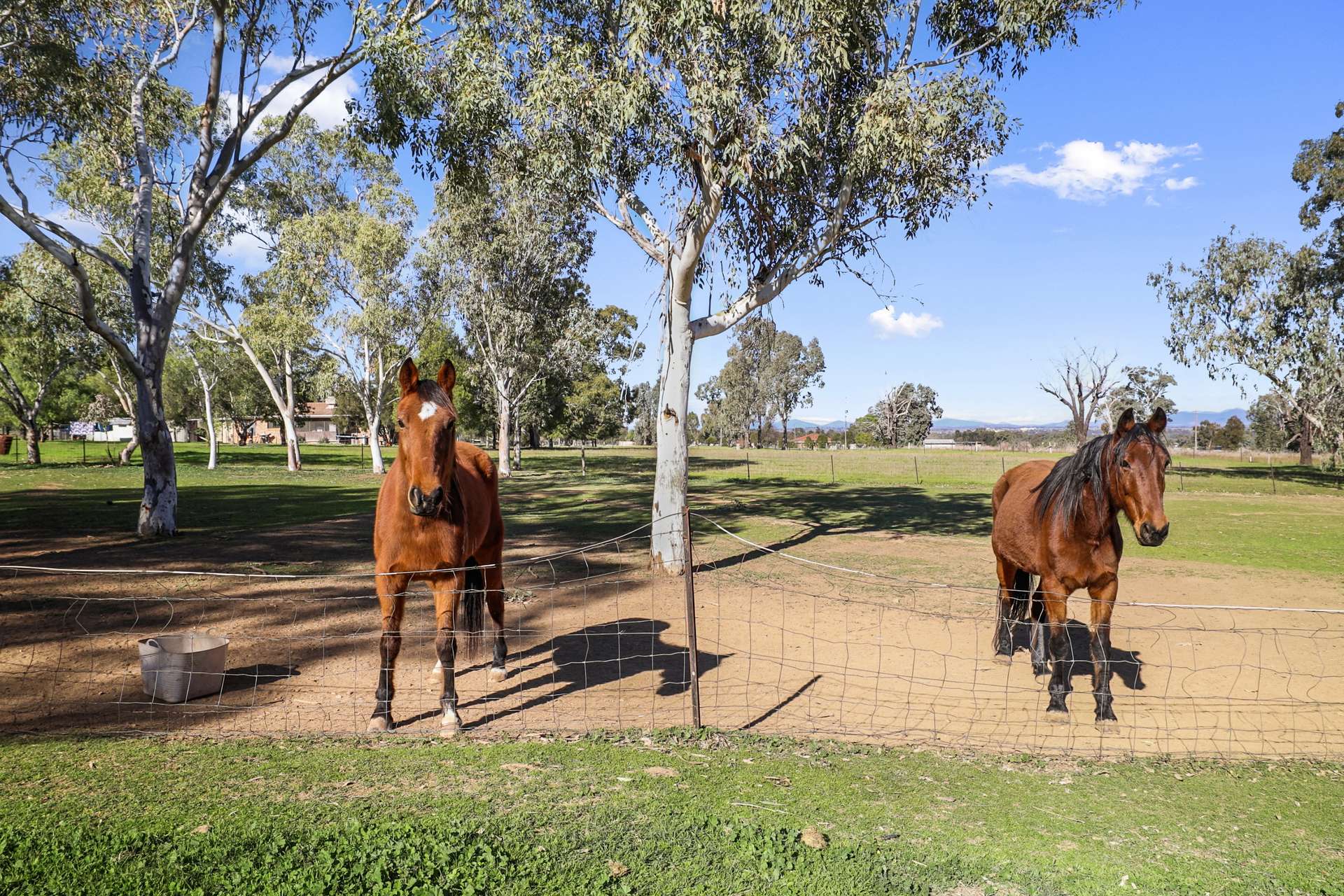 447 Bournes Lane, Tamworth For Sale by Farmbuy.com - image 18