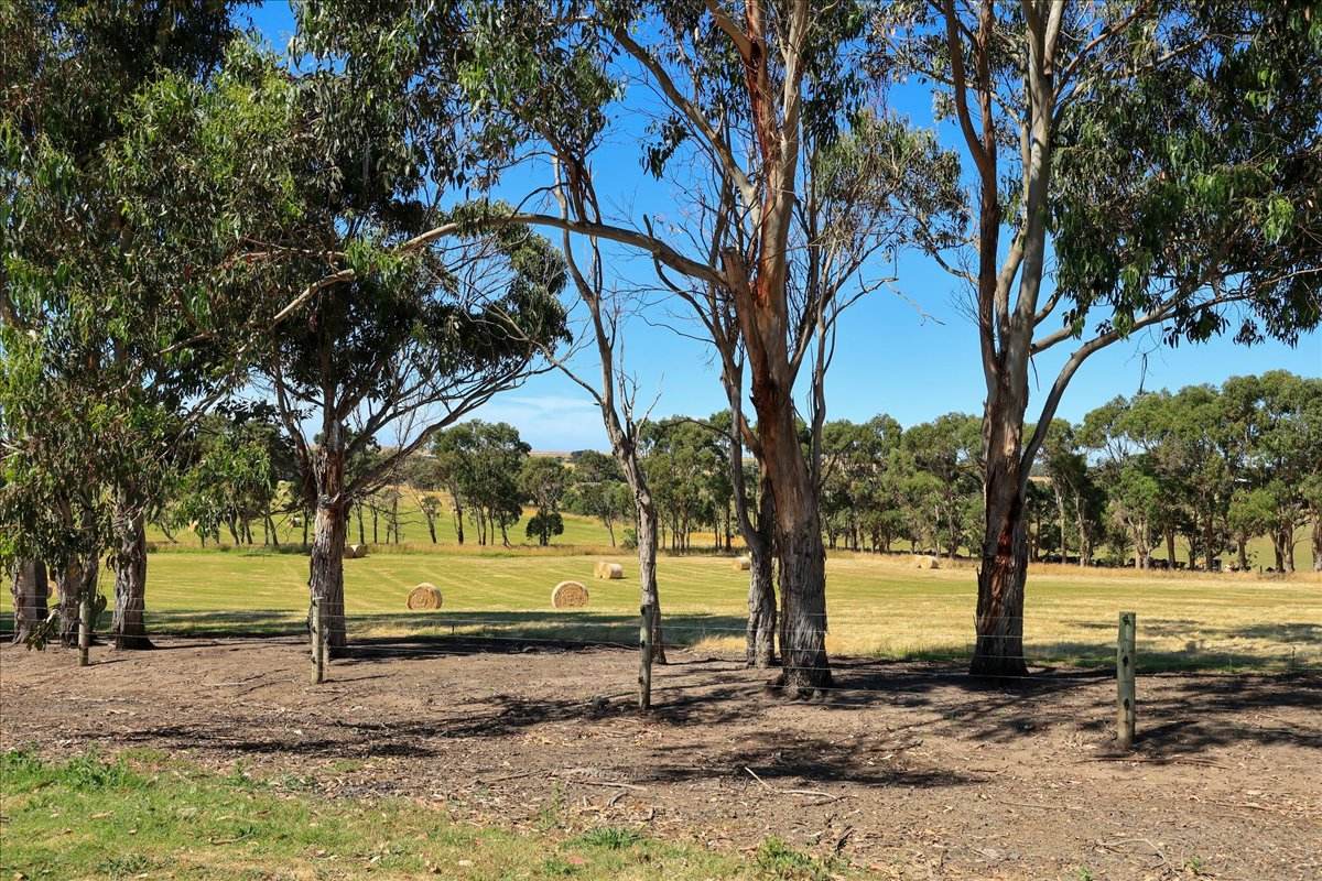 88 Smiths Lane, Allansford For Sale by Farmbuy.com - image 34