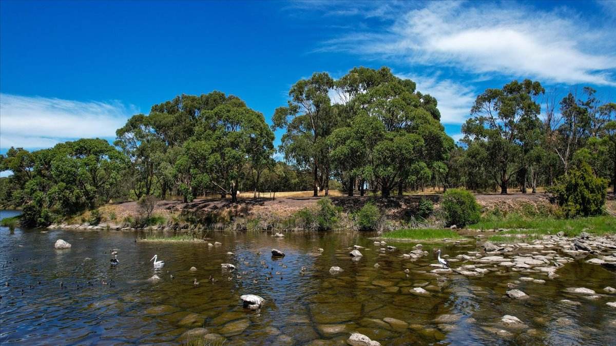 88 Smiths Lane, Allansford For Sale by Farmbuy.com - image 33