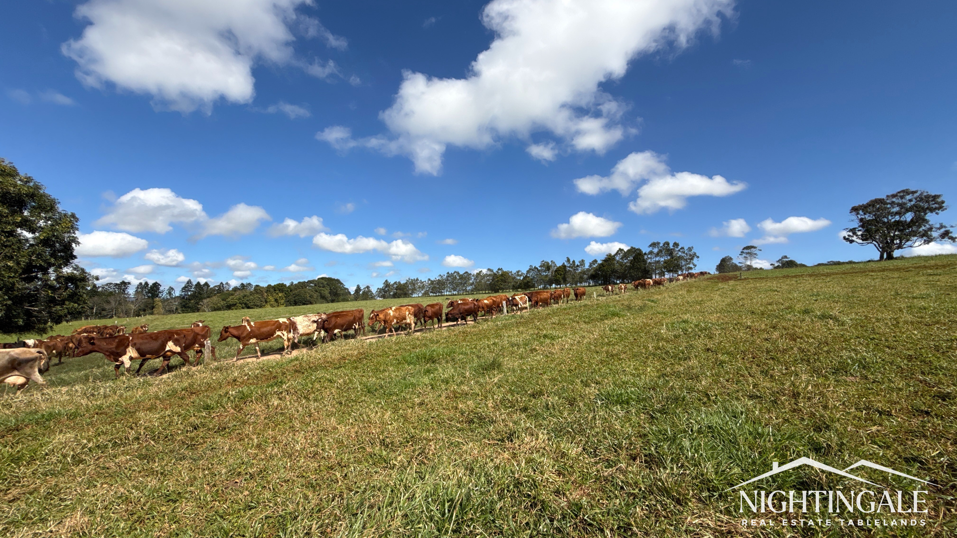 148 Forrester Road, Kureen For Sale by Farmbuy.com - image 8