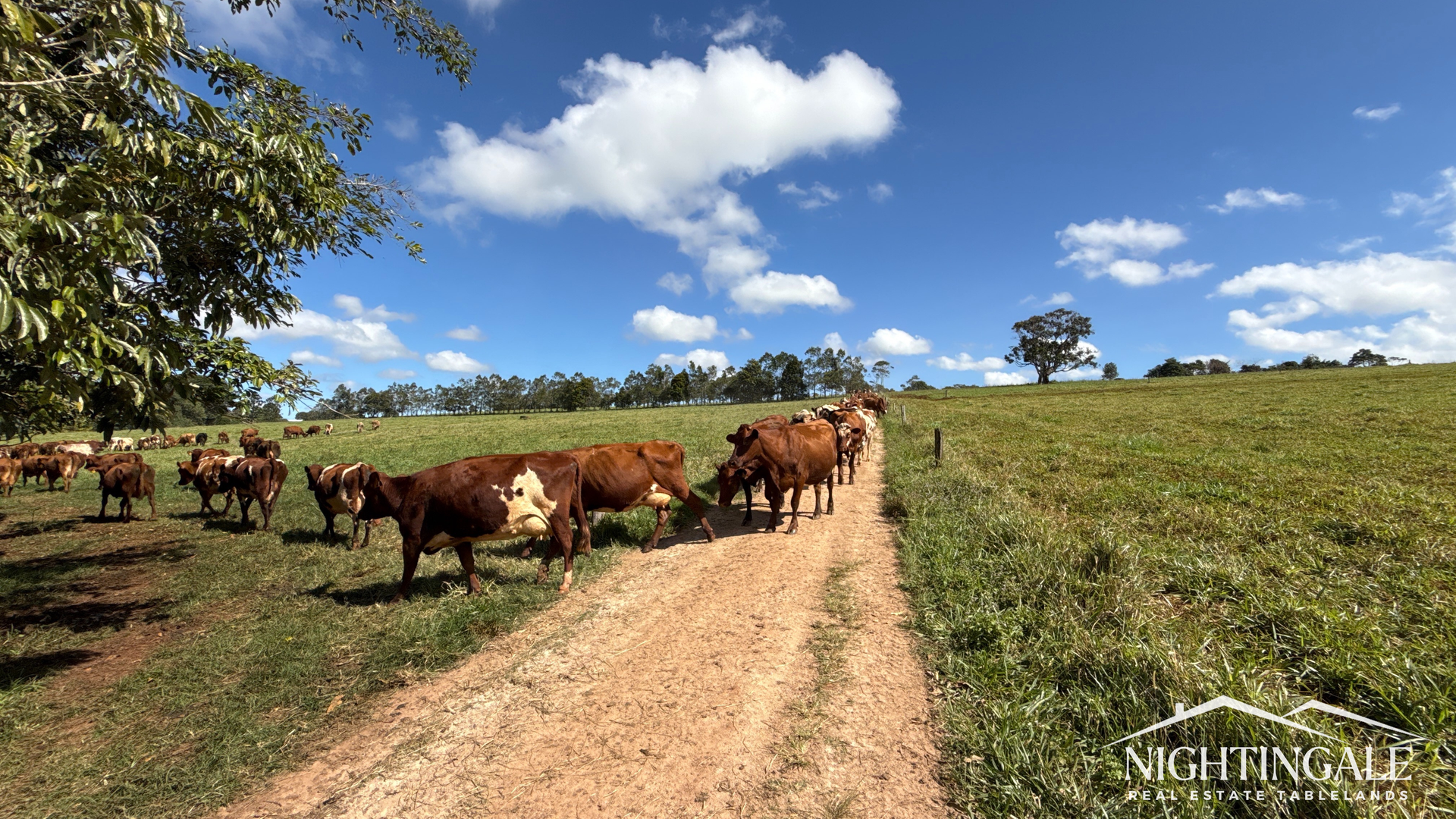 148 Forrester Road, Kureen For Sale by Farmbuy.com - image 9