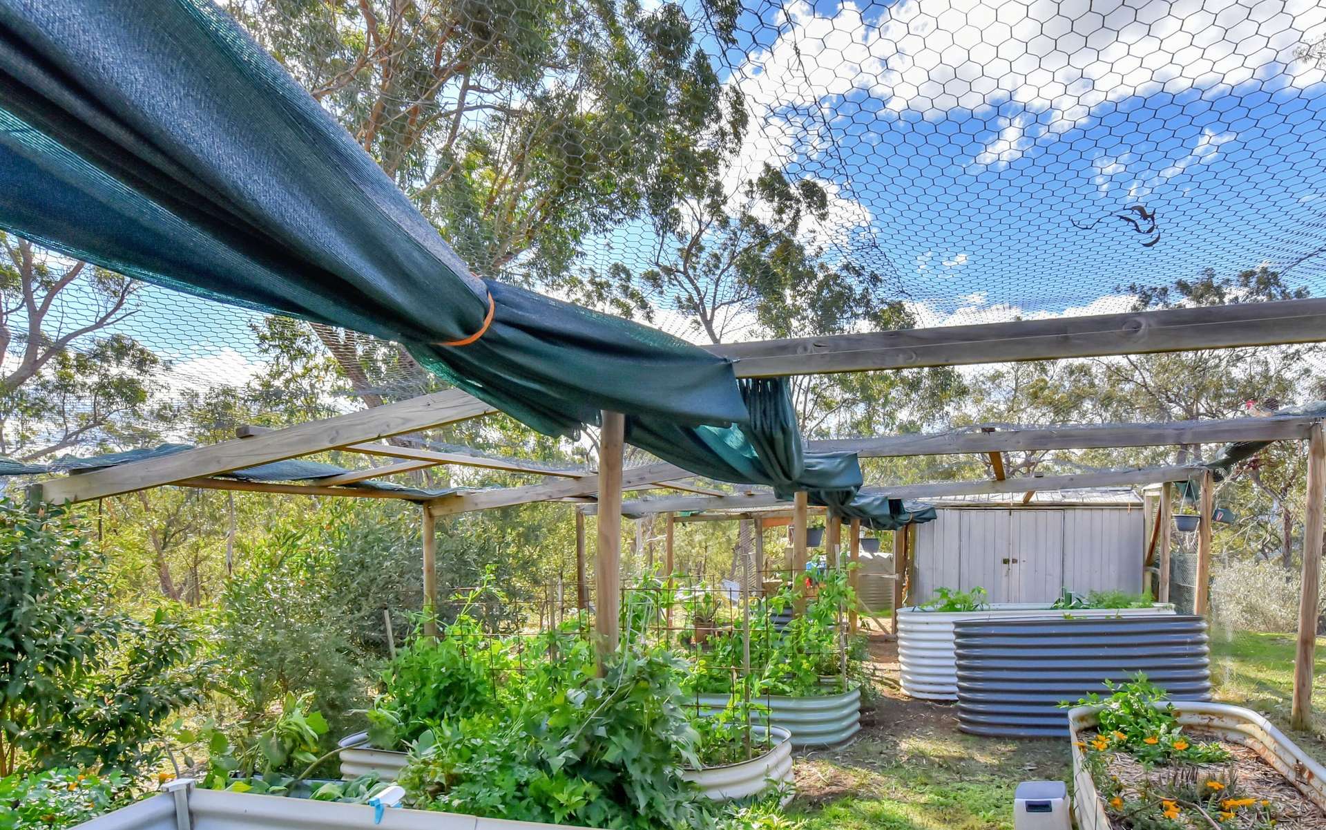 147 Andrews Road, Laguna For Sale by Farmbuy.com - image 26