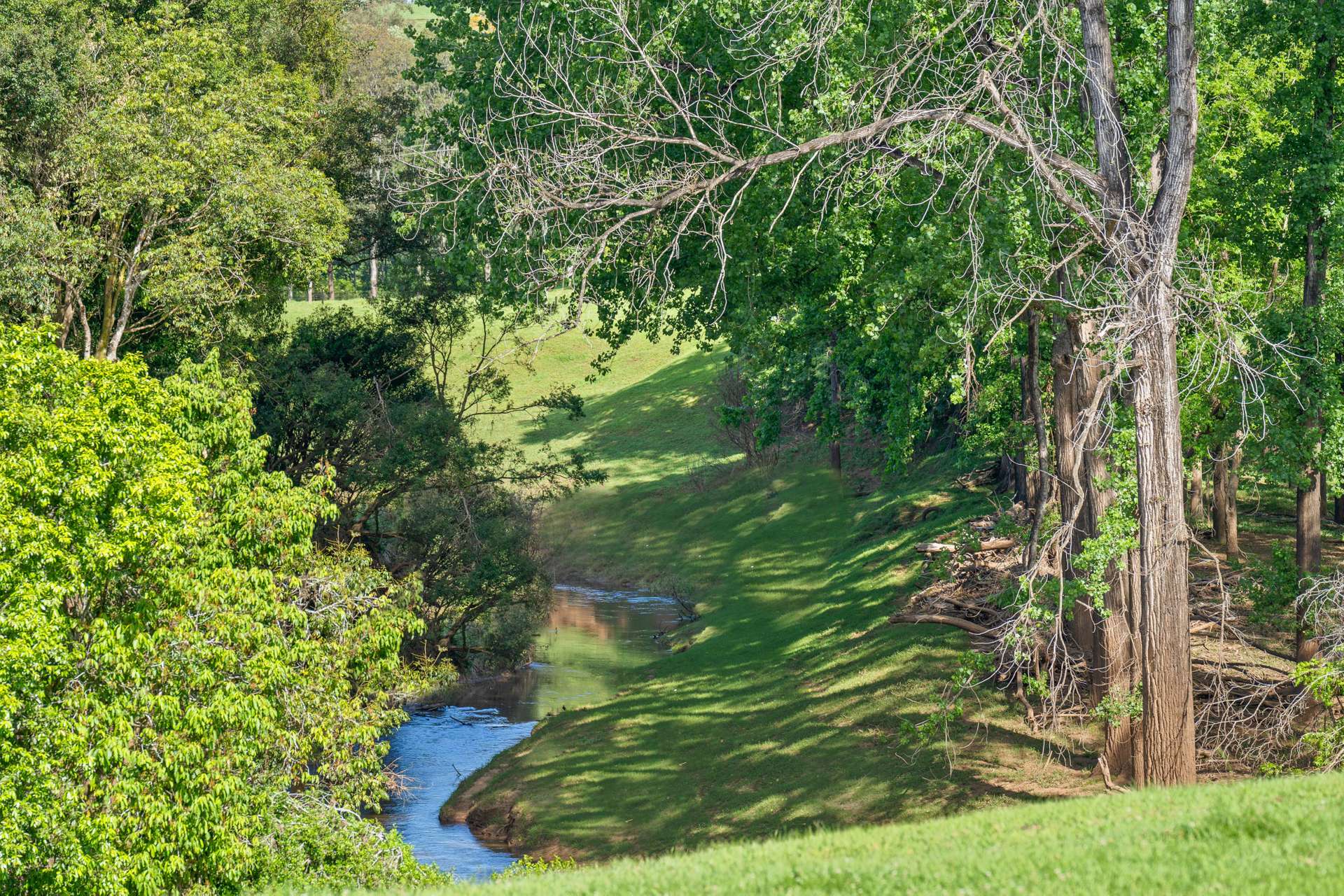 1441 Keerrong Road, The Channon For Sale by Farmbuy.com - image 32