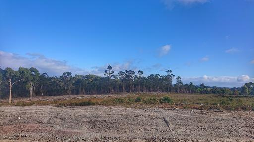 Farm For Sale - TAS - Heybridge - 7316 - Rare opportunity in Eagle Sea! 