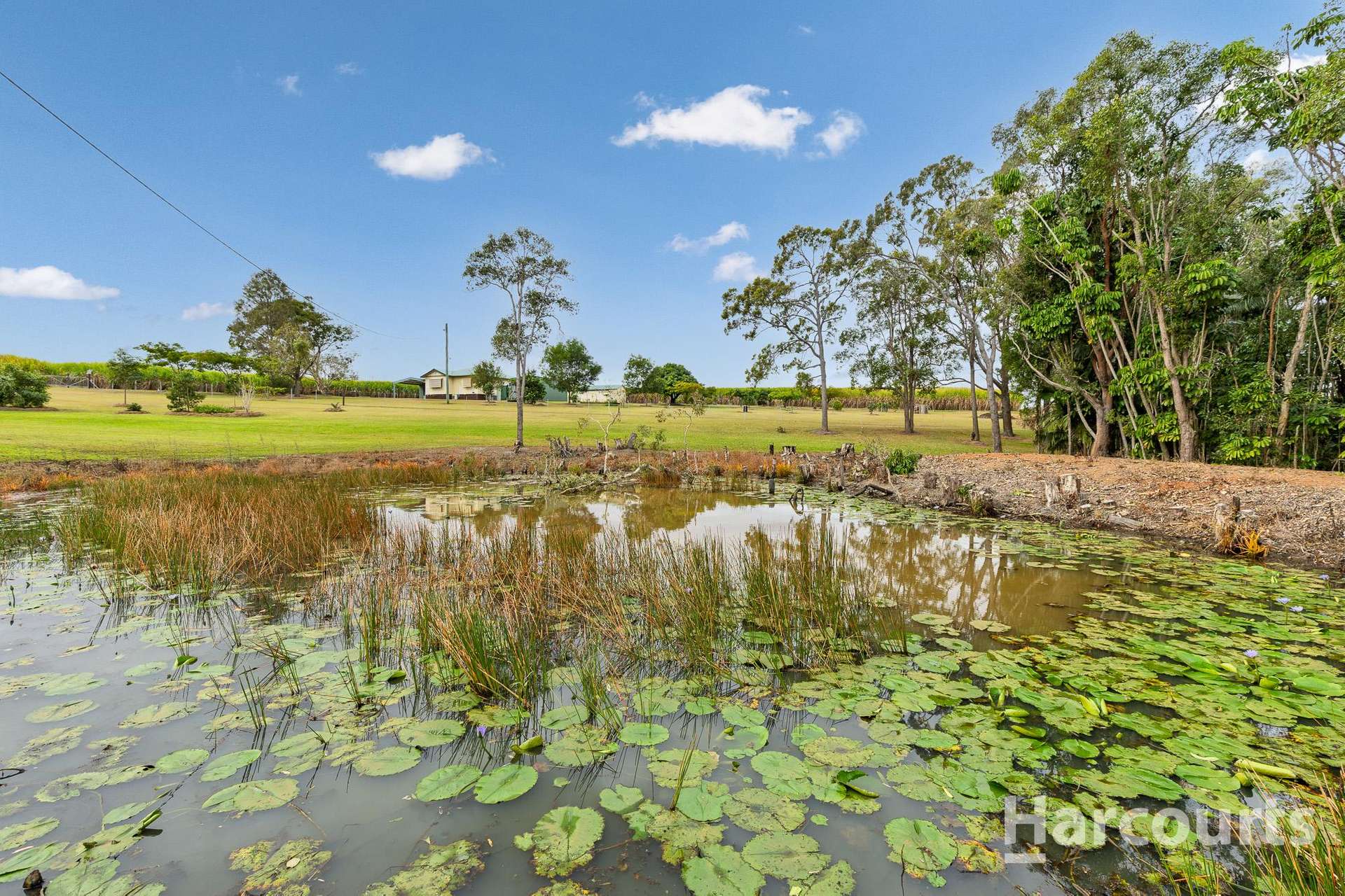 266 Farnsfield Road, North Isis For Sale by Farmbuy.com - image 8