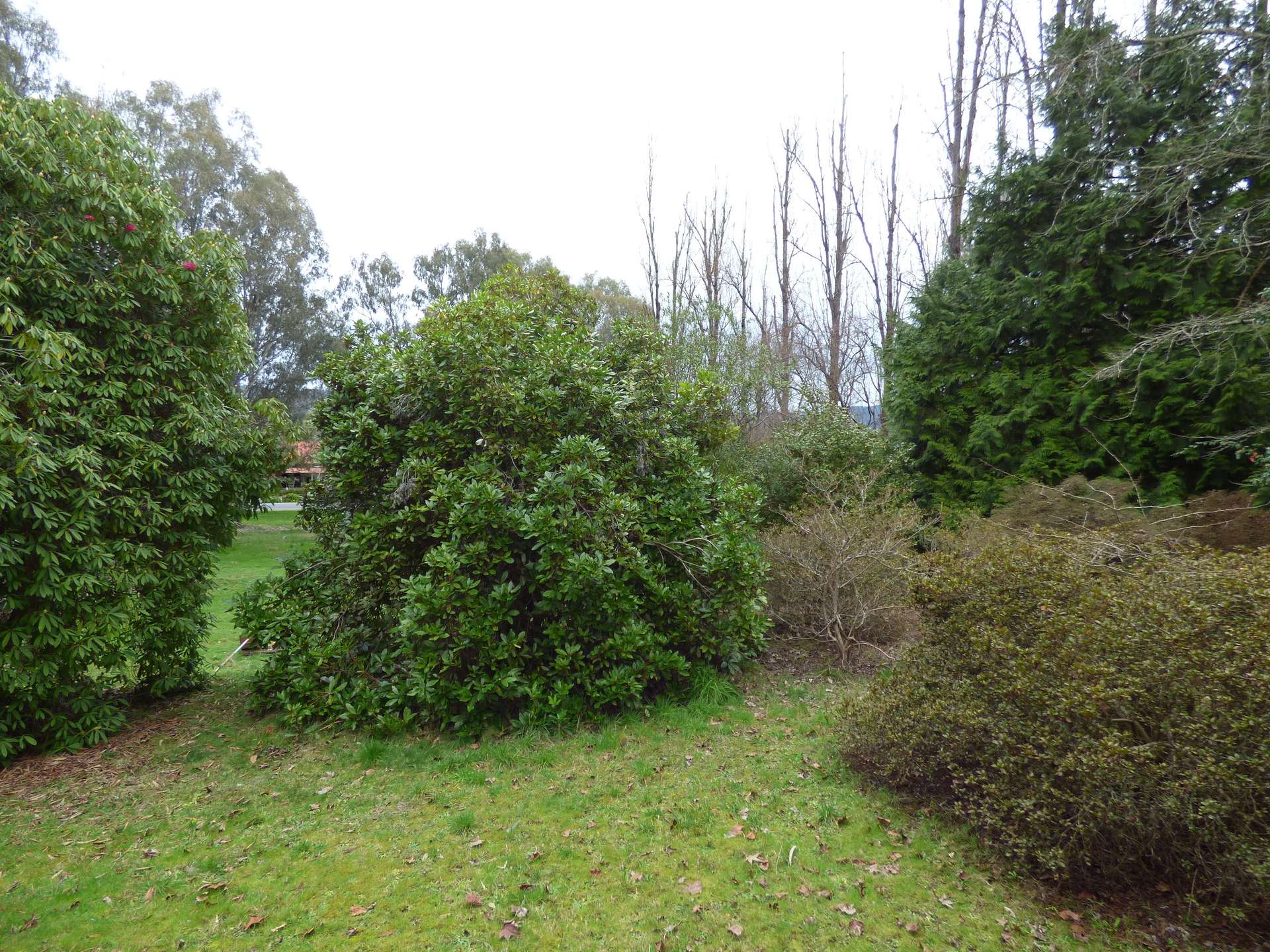 57 Great Alpine Rd, Myrtleford Sold by Farmbuy.com - image 7