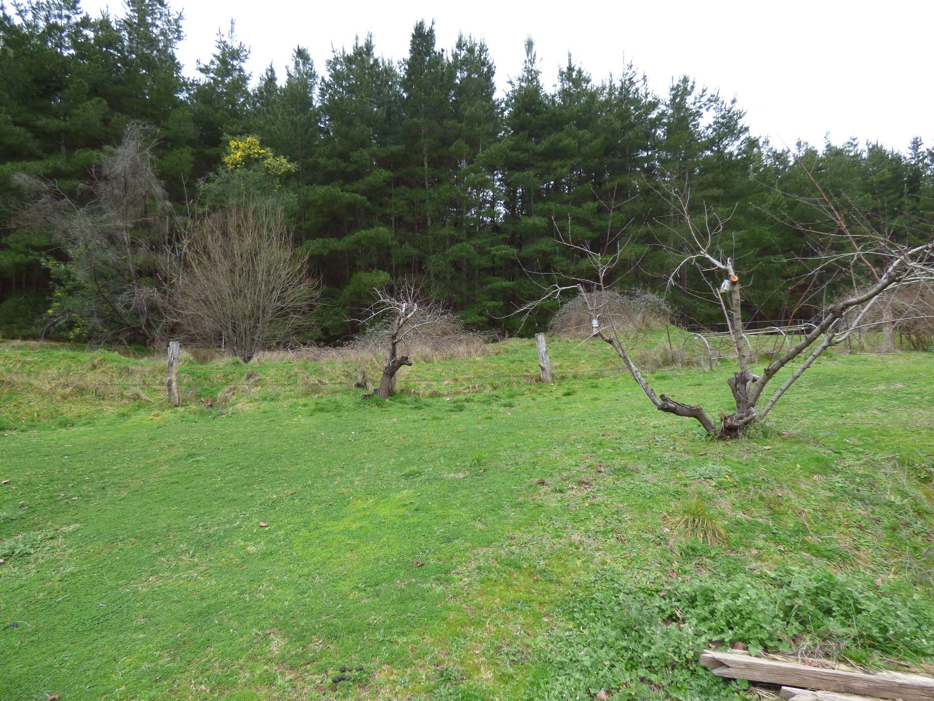 57 Great Alpine Rd, Myrtleford Sold by Farmbuy.com - image 3