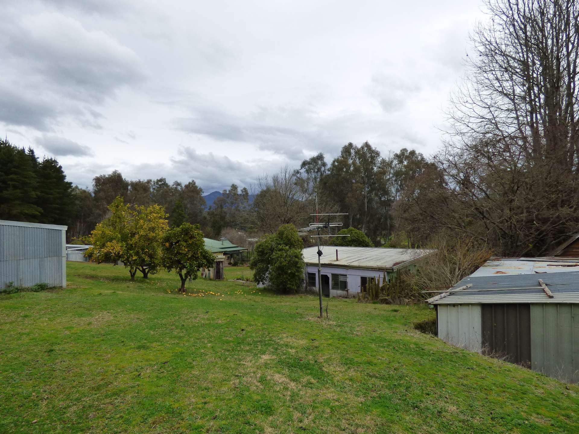 57 Great Alpine Rd, Myrtleford Sold by Farmbuy.com - image 4