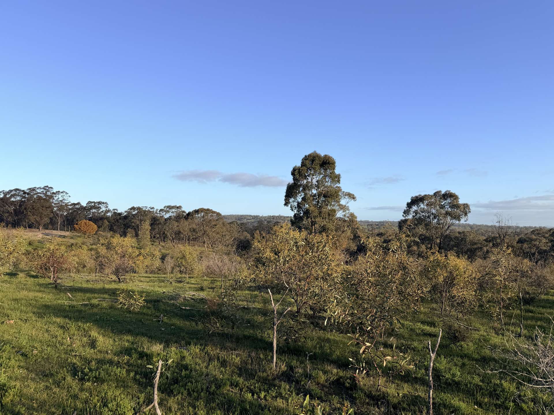 57 Dunlop Road, St Arnaud For Sale by Farmbuy.com - image 32