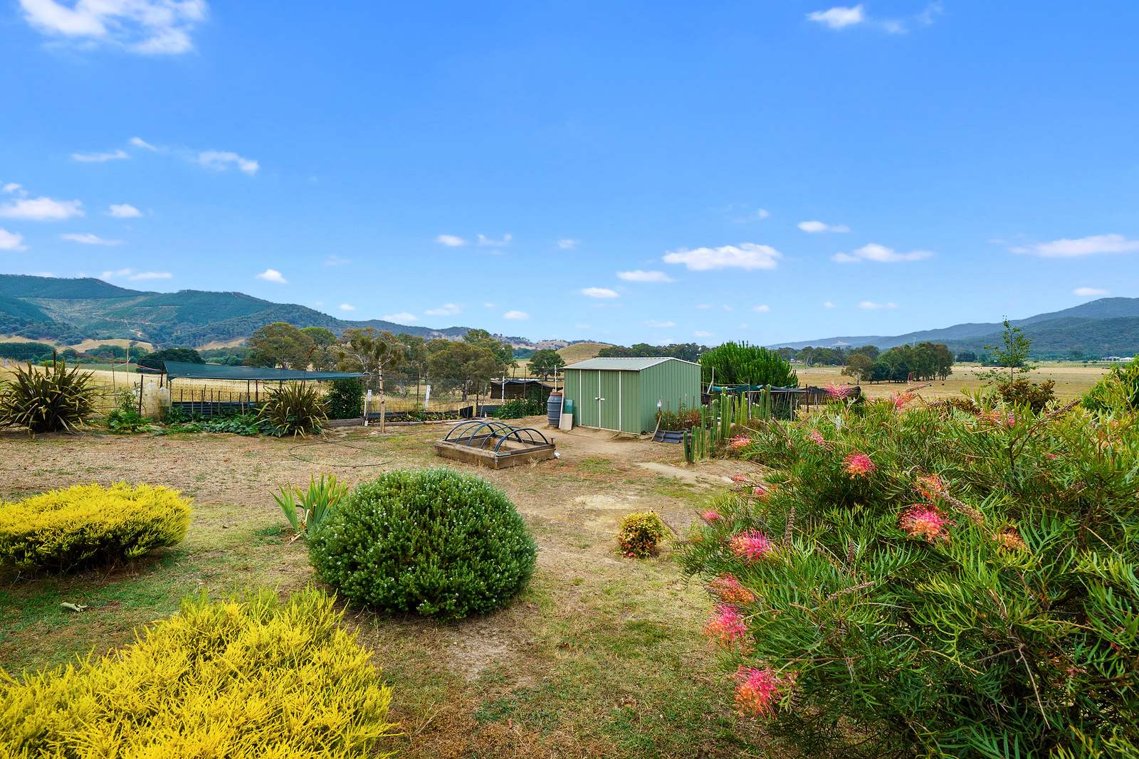 234 Buffalo River Road, Myrtleford Sold by Farmbuy.com - image 21