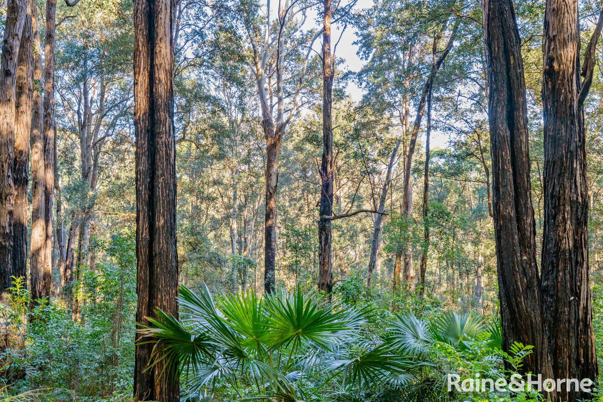 Lot 114,  Woodburn Road, Morton For Sale by Farmbuy.com - image 3