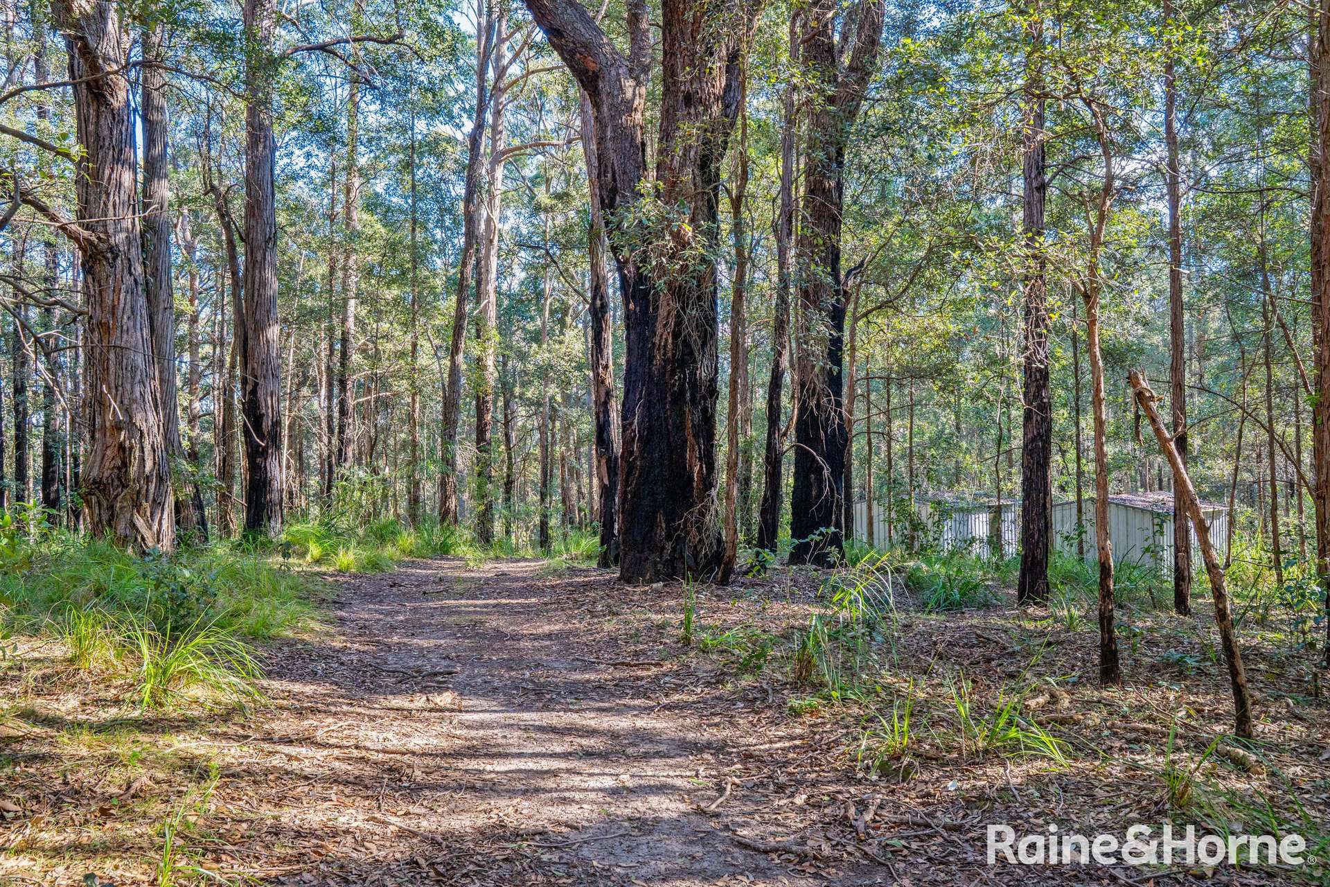 Lot 114,  Woodburn Road, Morton For Sale by Farmbuy.com - image 8
