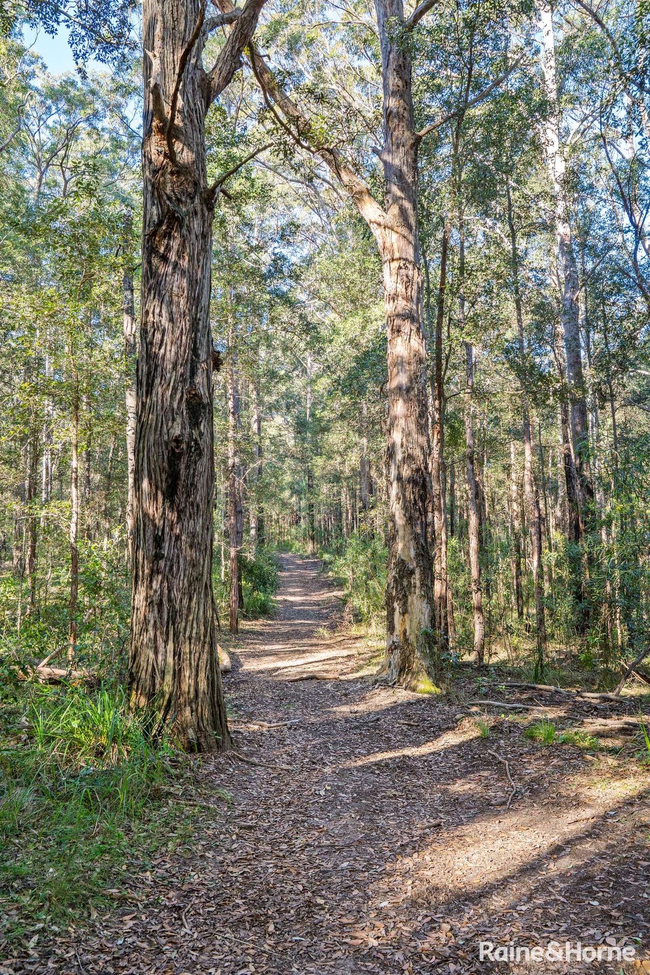 Lot 114,  Woodburn Road, Morton For Sale by Farmbuy.com - image 10
