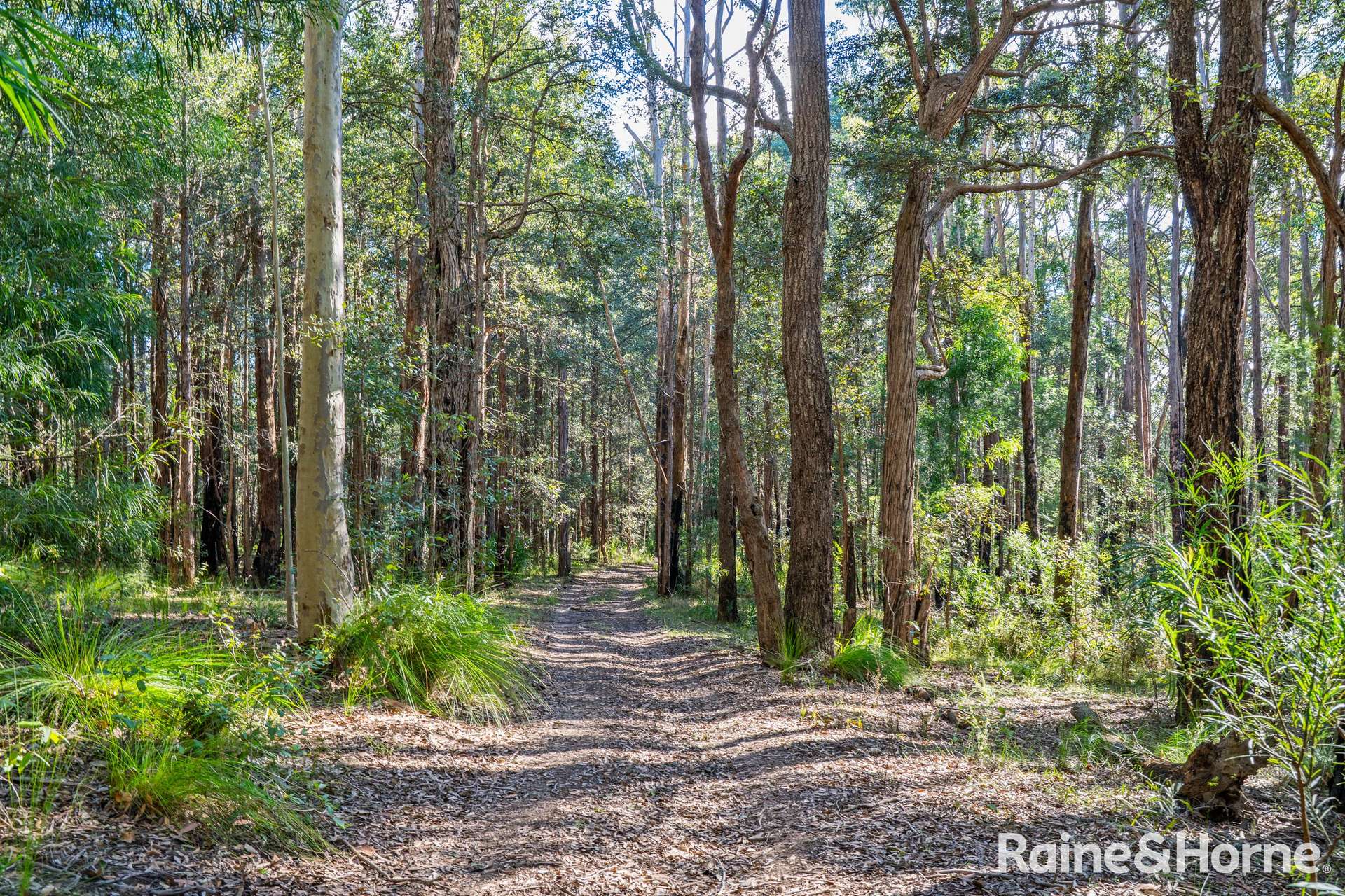 Lot 114,  Woodburn Road, Morton For Sale by Farmbuy.com - image 2