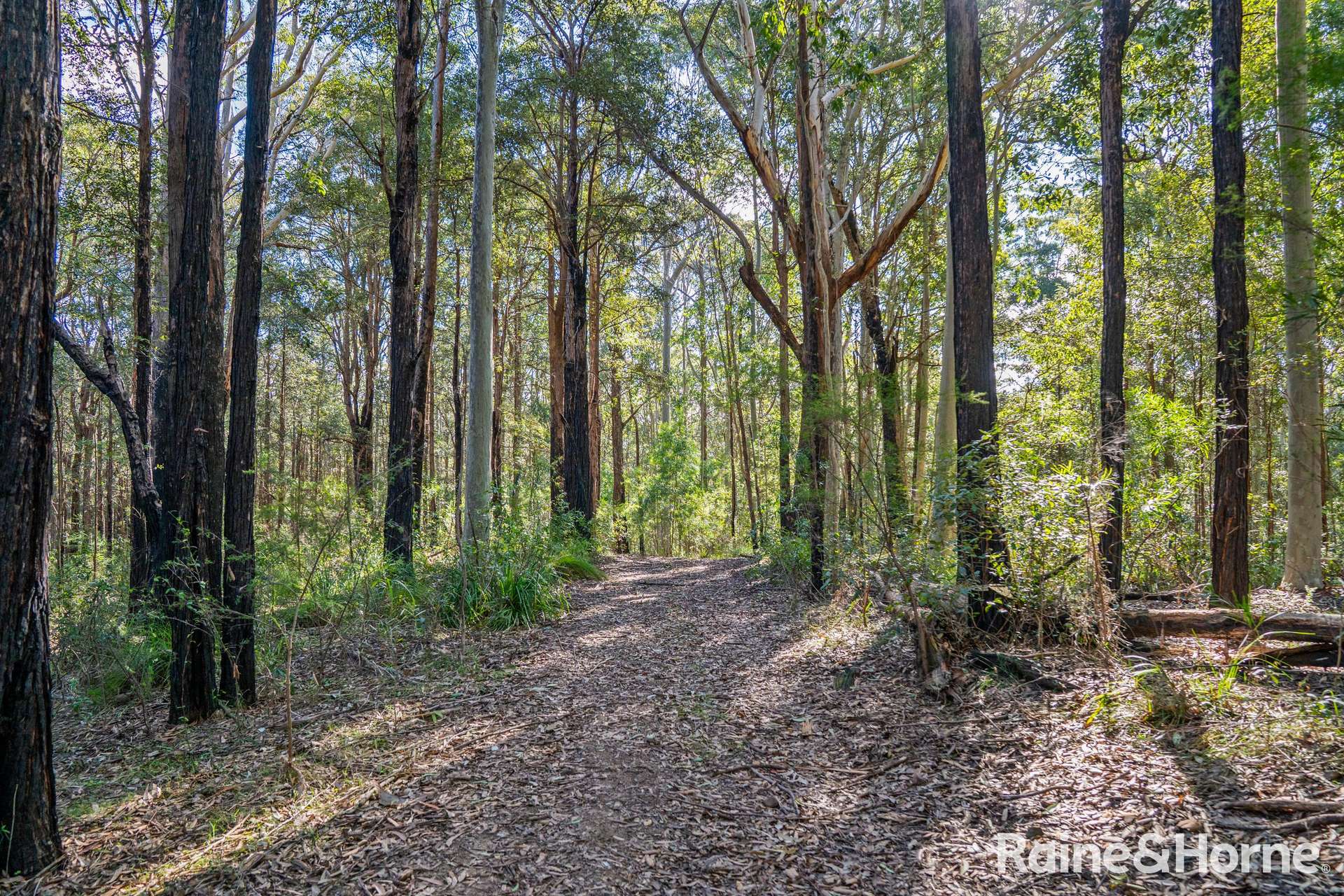 Lot 114,  Woodburn Road, Morton For Sale by Farmbuy.com - image 4