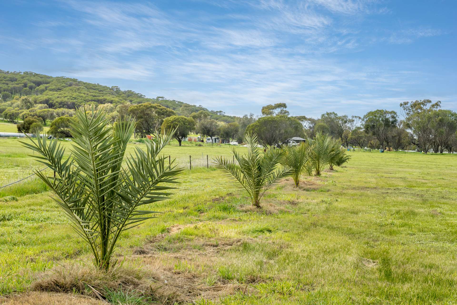 Lot 20,  Gratte Street, Northam For Sale by Farmbuy.com - image 2