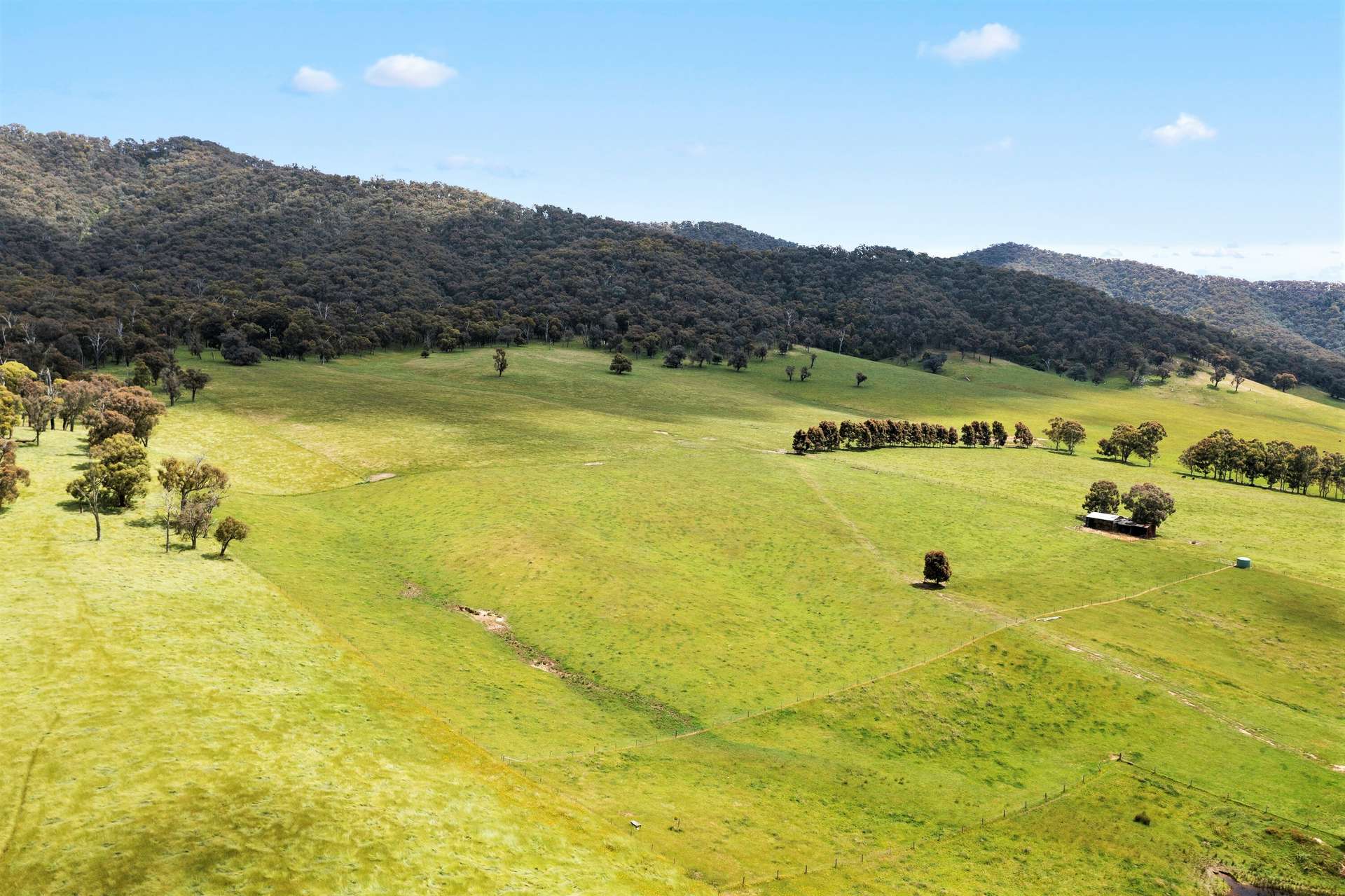 (Part)/714 Happy Valley Rd, Myrtleford Sold by Farmbuy.com - image 11