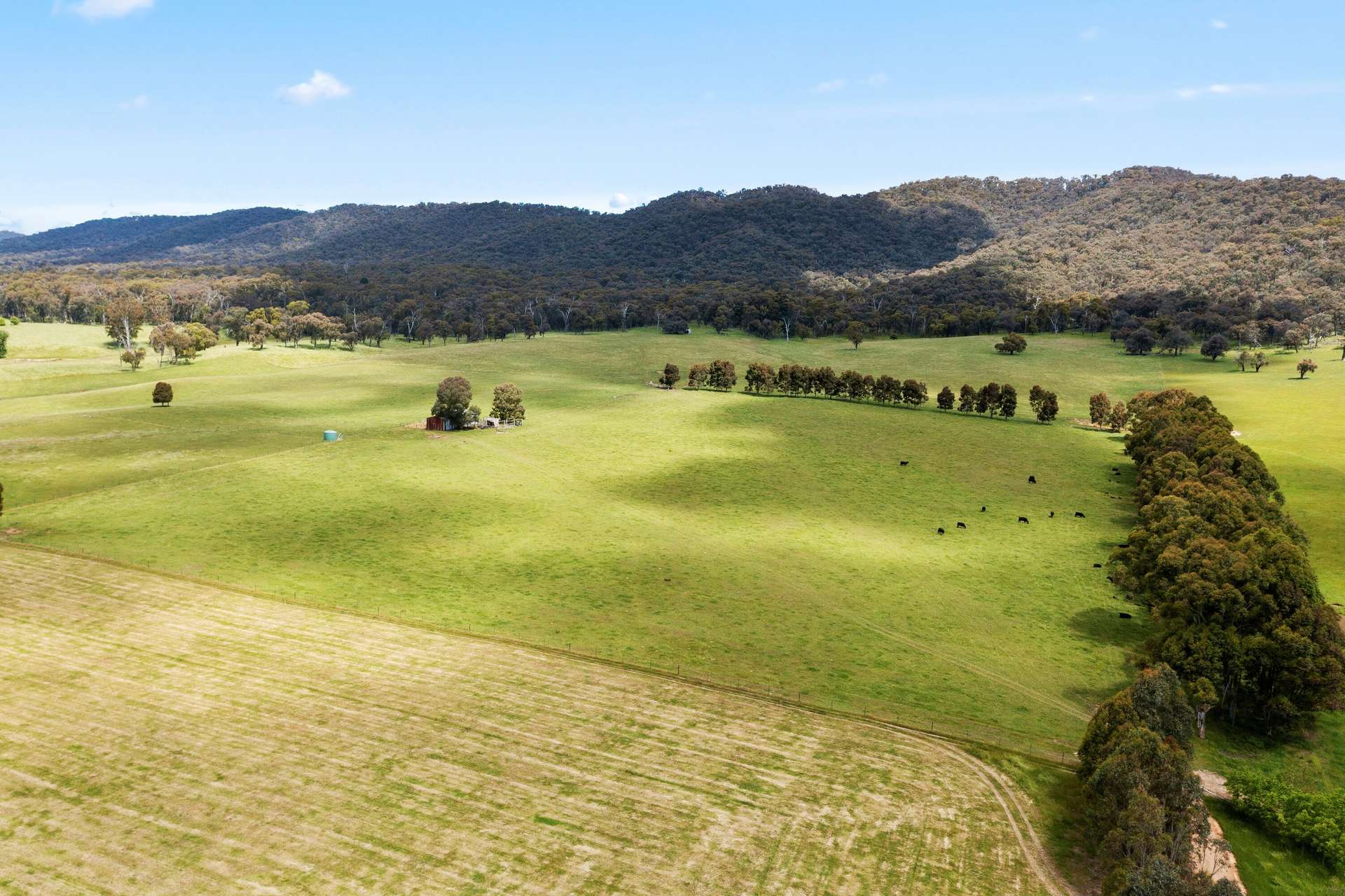 (Part)/714 Happy Valley Rd, Myrtleford Sold by Farmbuy.com - image 6
