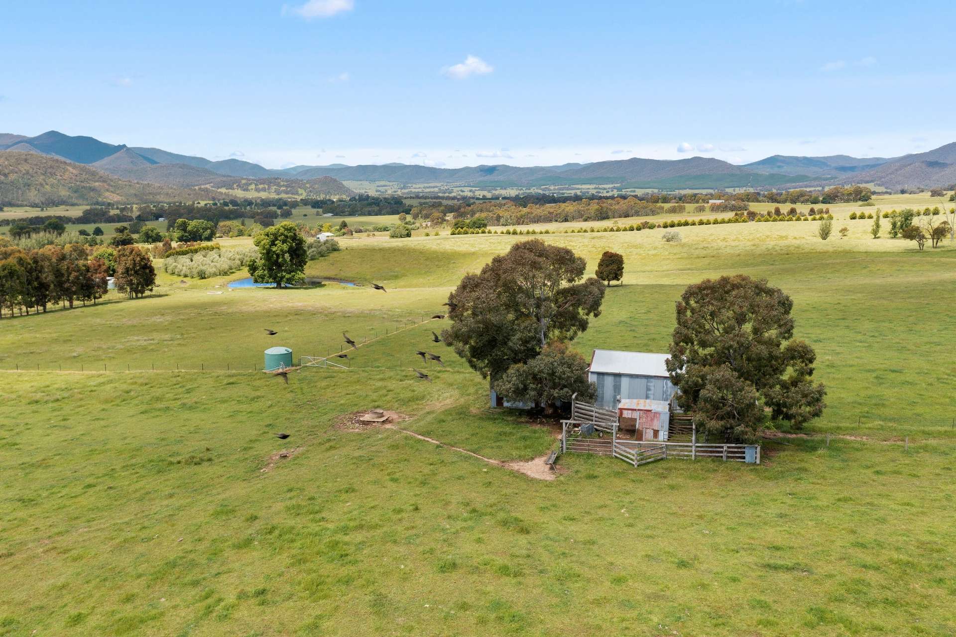 Lot (Part), 714 Happy Valley Rd, Myrtleford Sold by Farmbuy.com - image 7