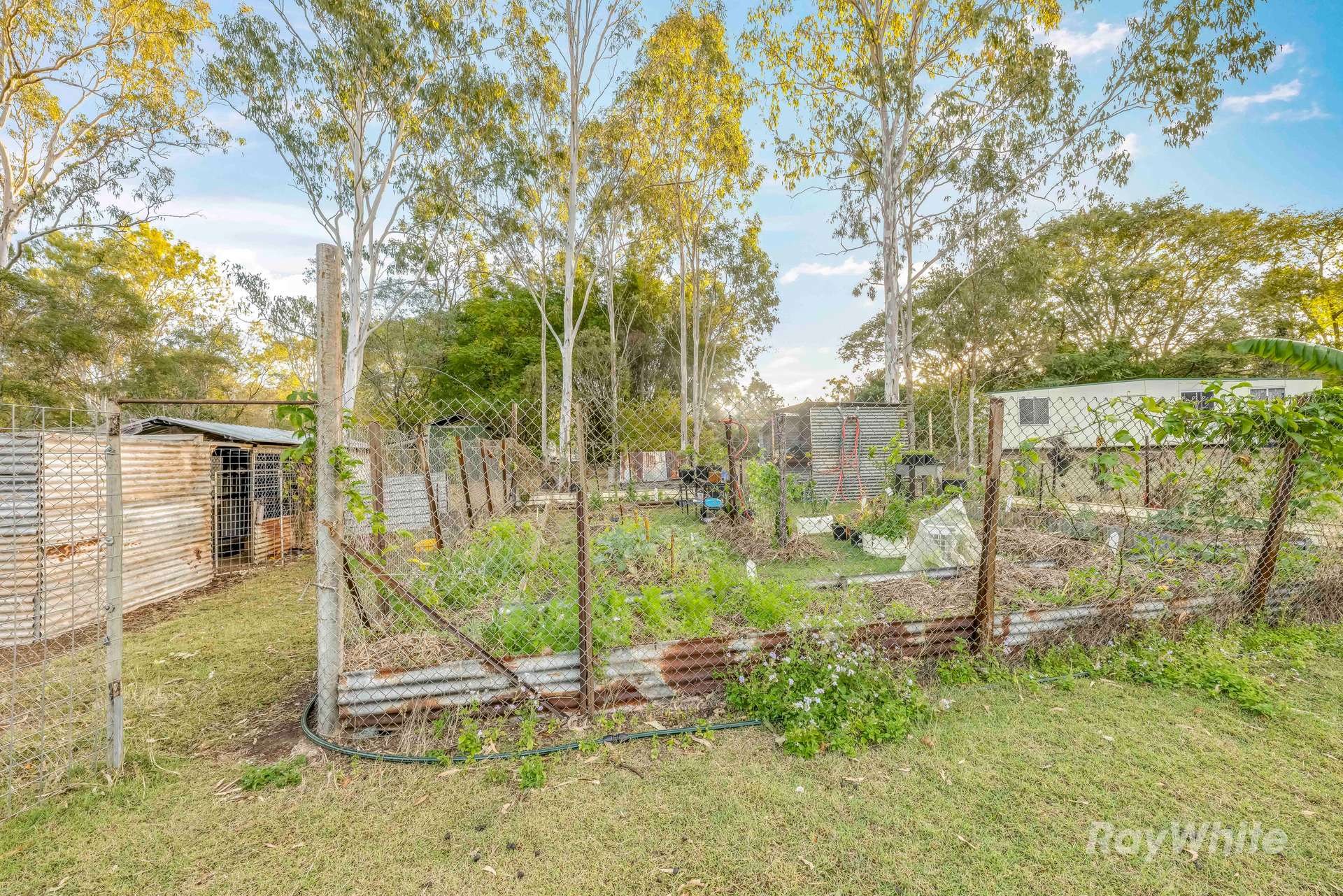 56/4528 Bundaberg Gin Gin Road, Gin Gin For Sale by Farmbuy.com - image 21