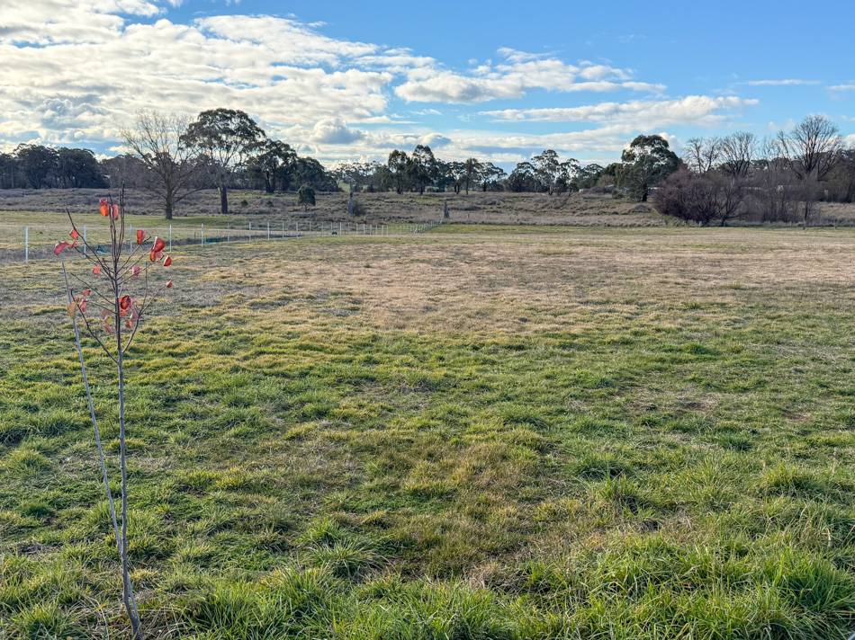 238 Forest Reefs Road, Millthorpe For Sale by Farmbuy.com - image 10