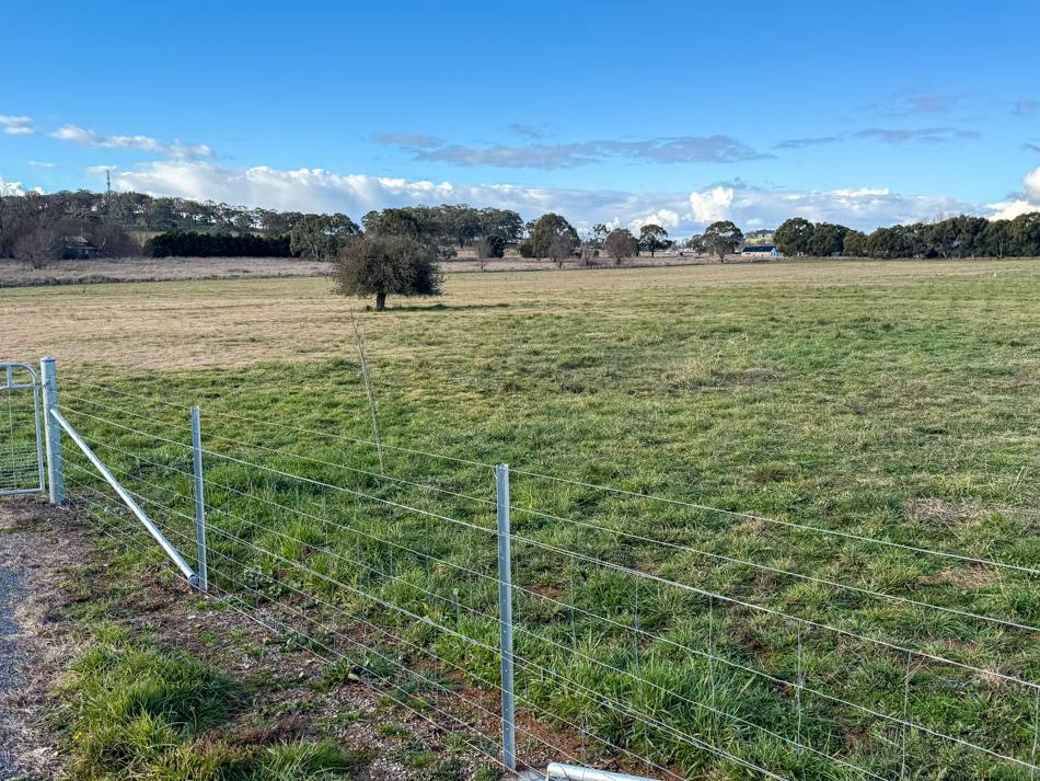 238 Forest Reefs Road, Millthorpe For Sale by Farmbuy.com - image 8