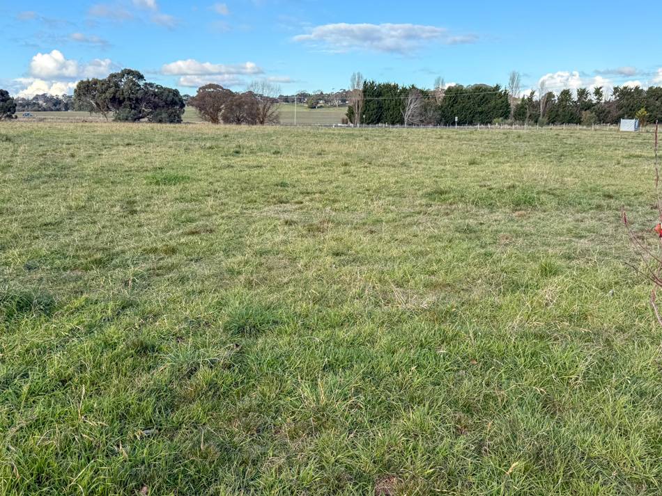 238 Forest Reefs Road, Millthorpe For Sale by Farmbuy.com - image 9
