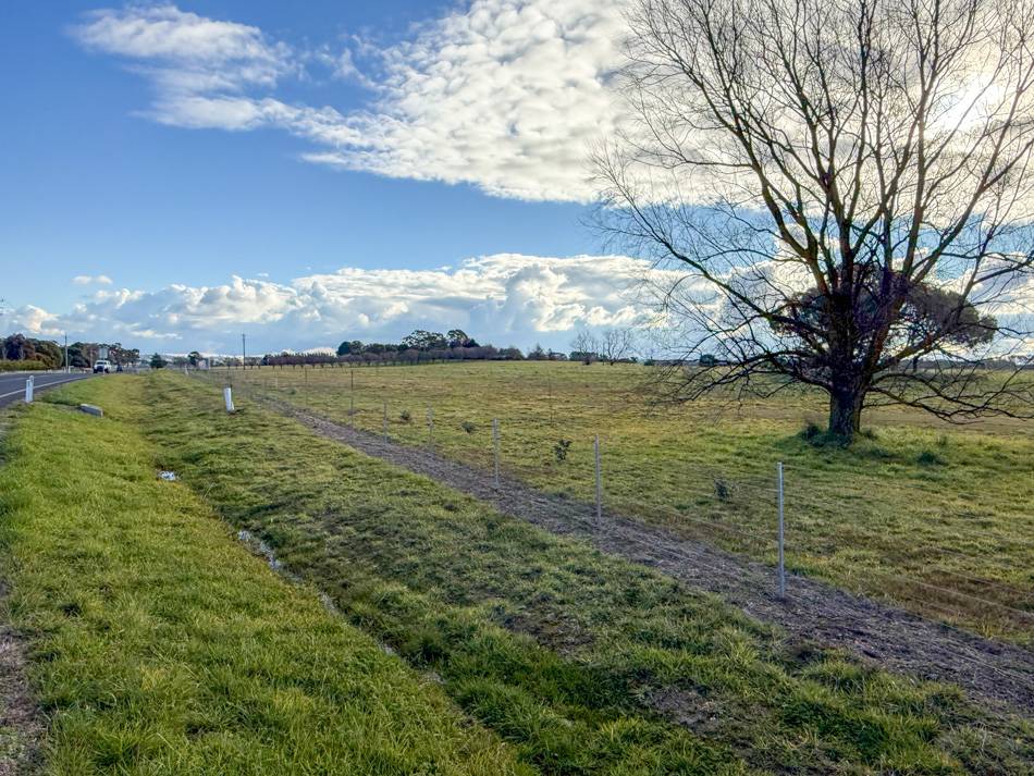 238 Forest Reefs Road, Millthorpe For Sale by Farmbuy.com - image 7