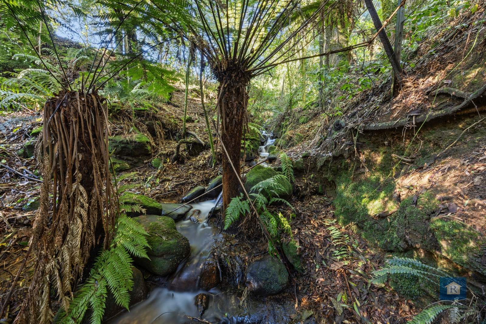 155 Old Colac Road, Beech Forest For Sale by Farmbuy.com - image 23