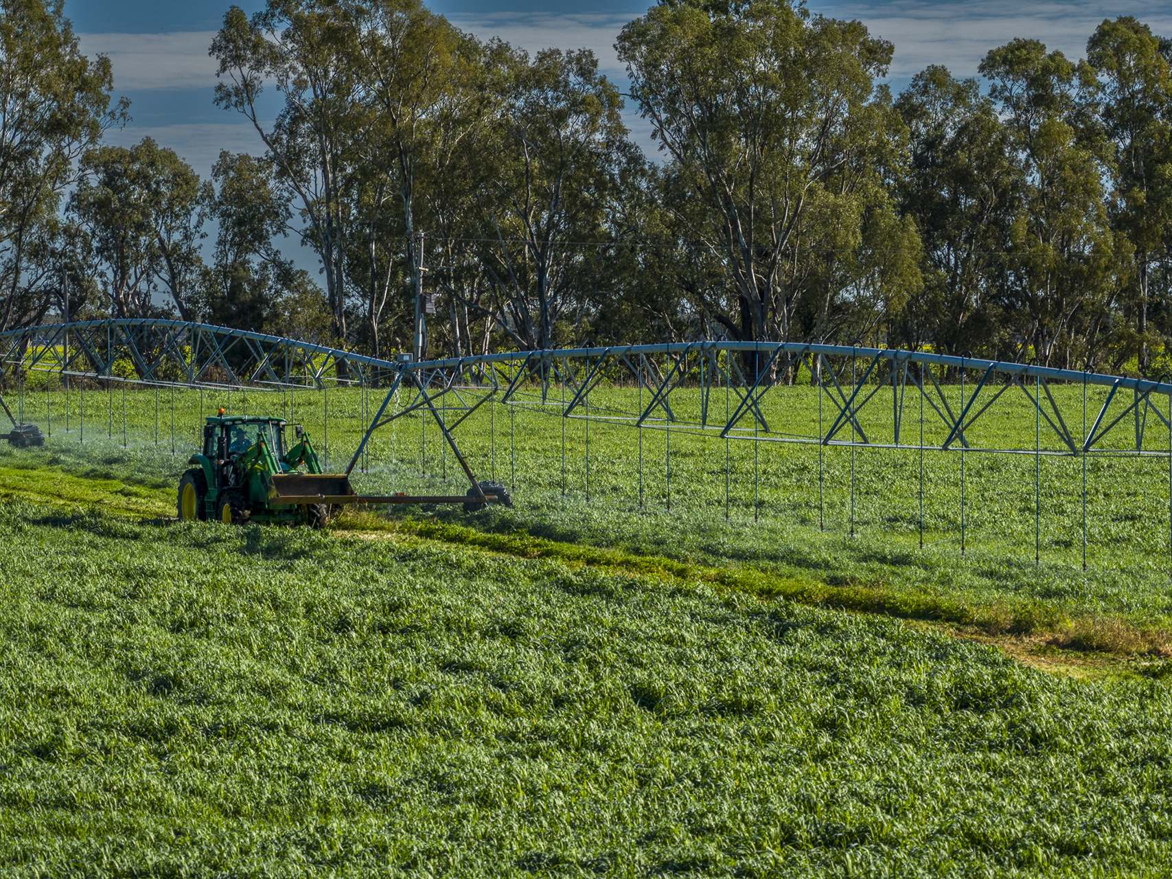 'San Diego Narromine Road, Dubbo Auction by Farmbuy.com - image 7