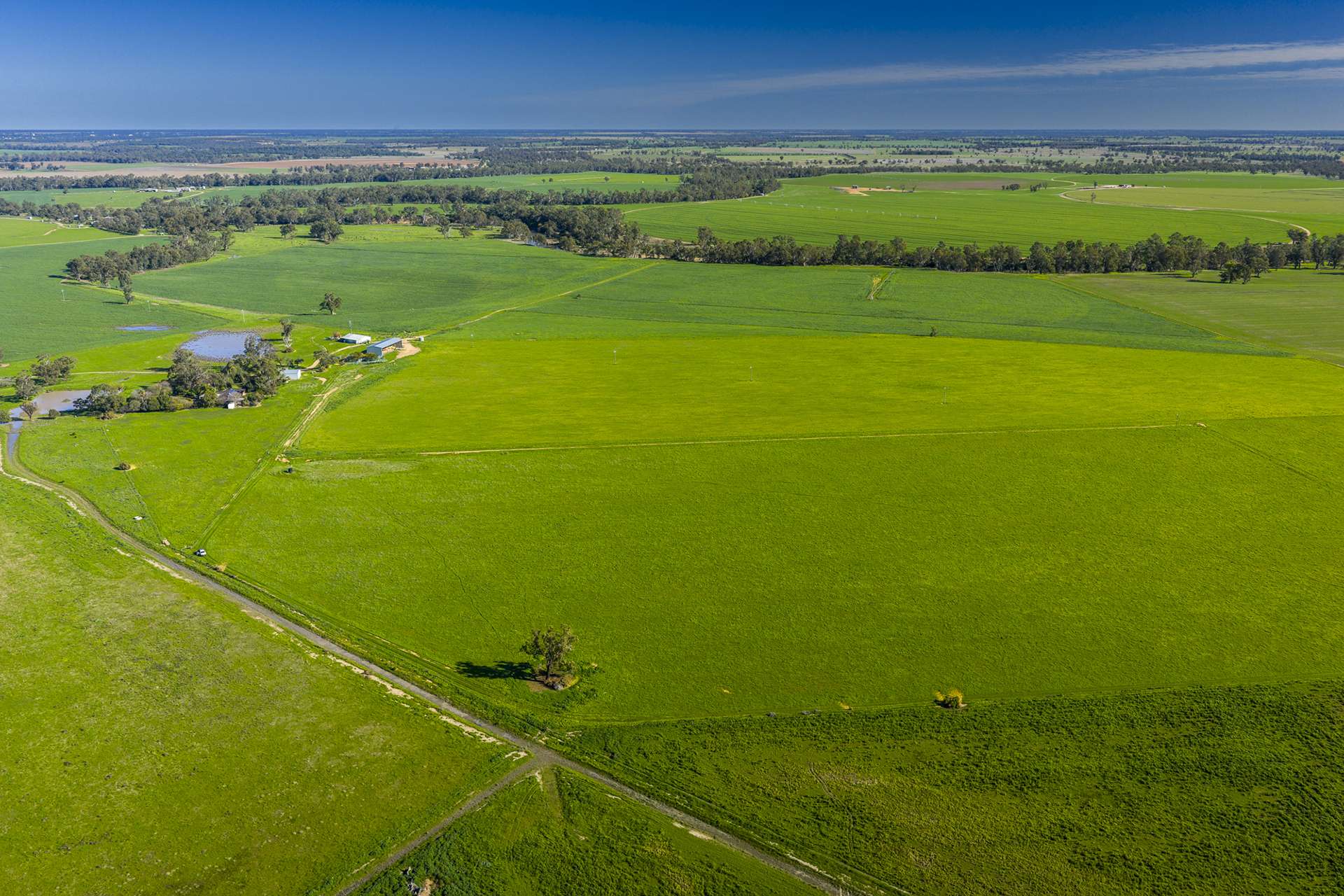 'San Diego Narromine Road, Dubbo Auction by Farmbuy.com - image 3