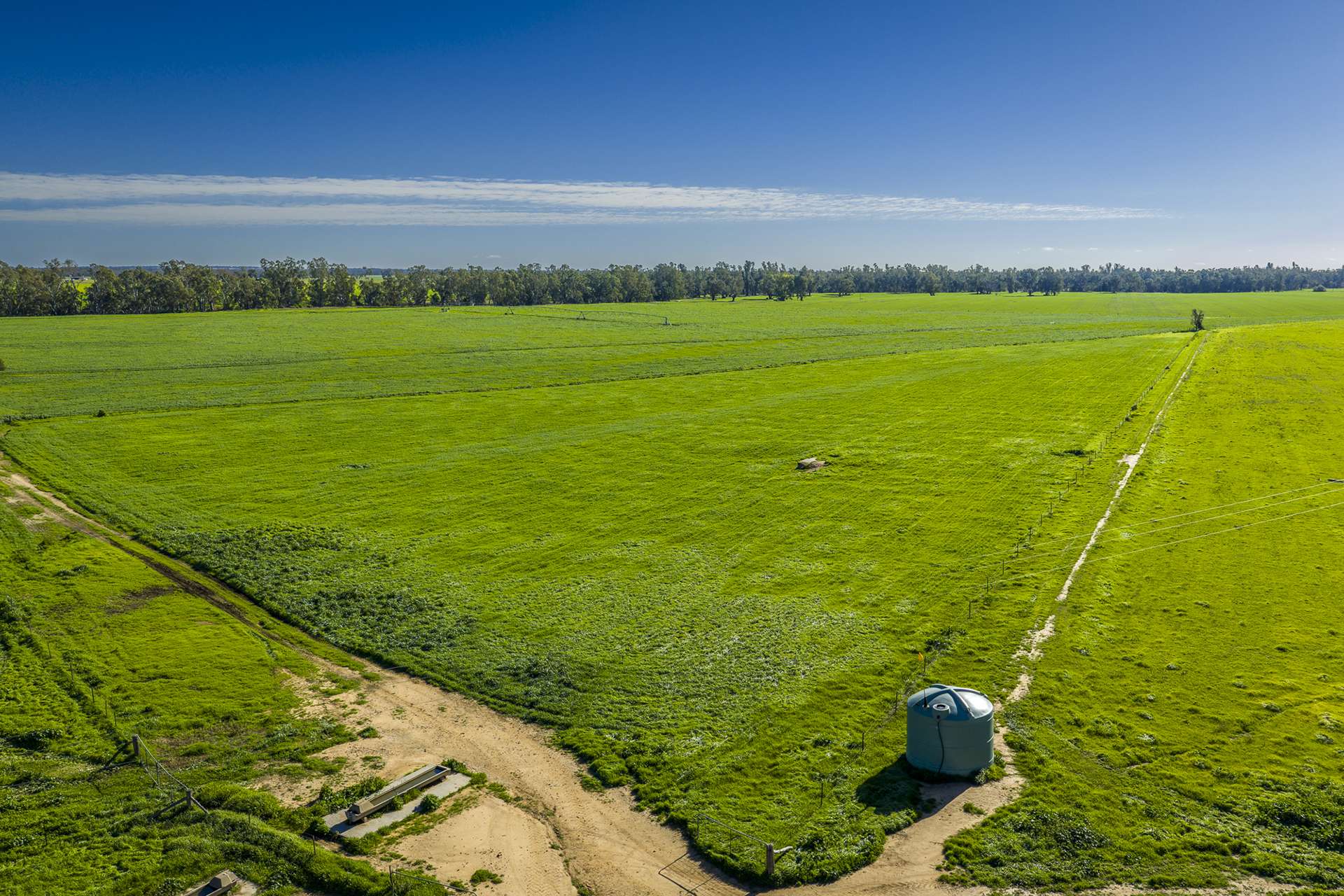 'San Diego Narromine Road, Dubbo Auction by Farmbuy.com - image 11