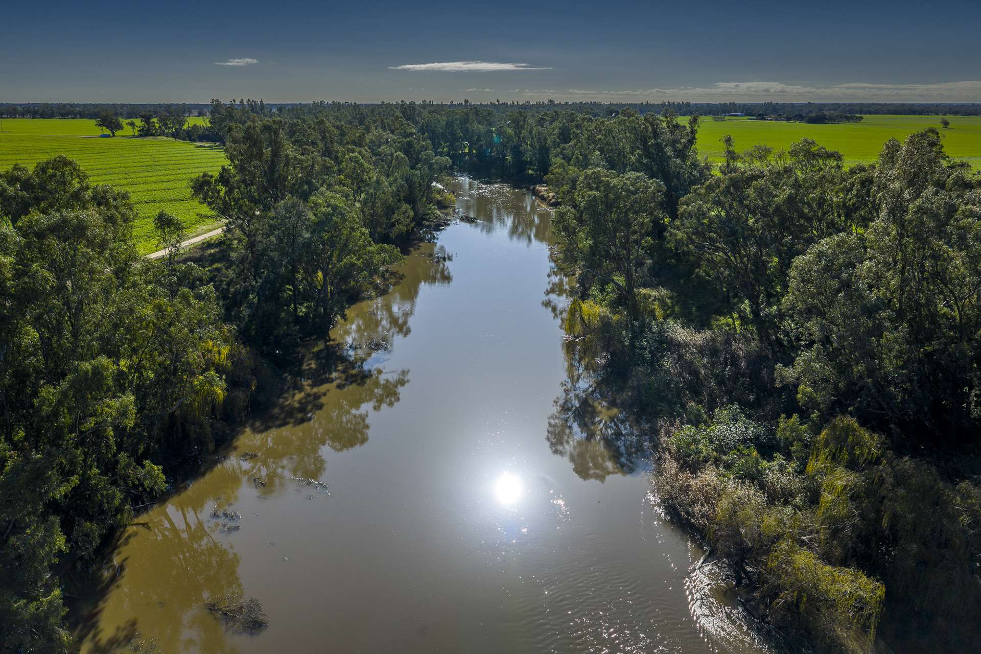 'San Diego Narromine Road, Dubbo Auction by Farmbuy.com - image 9