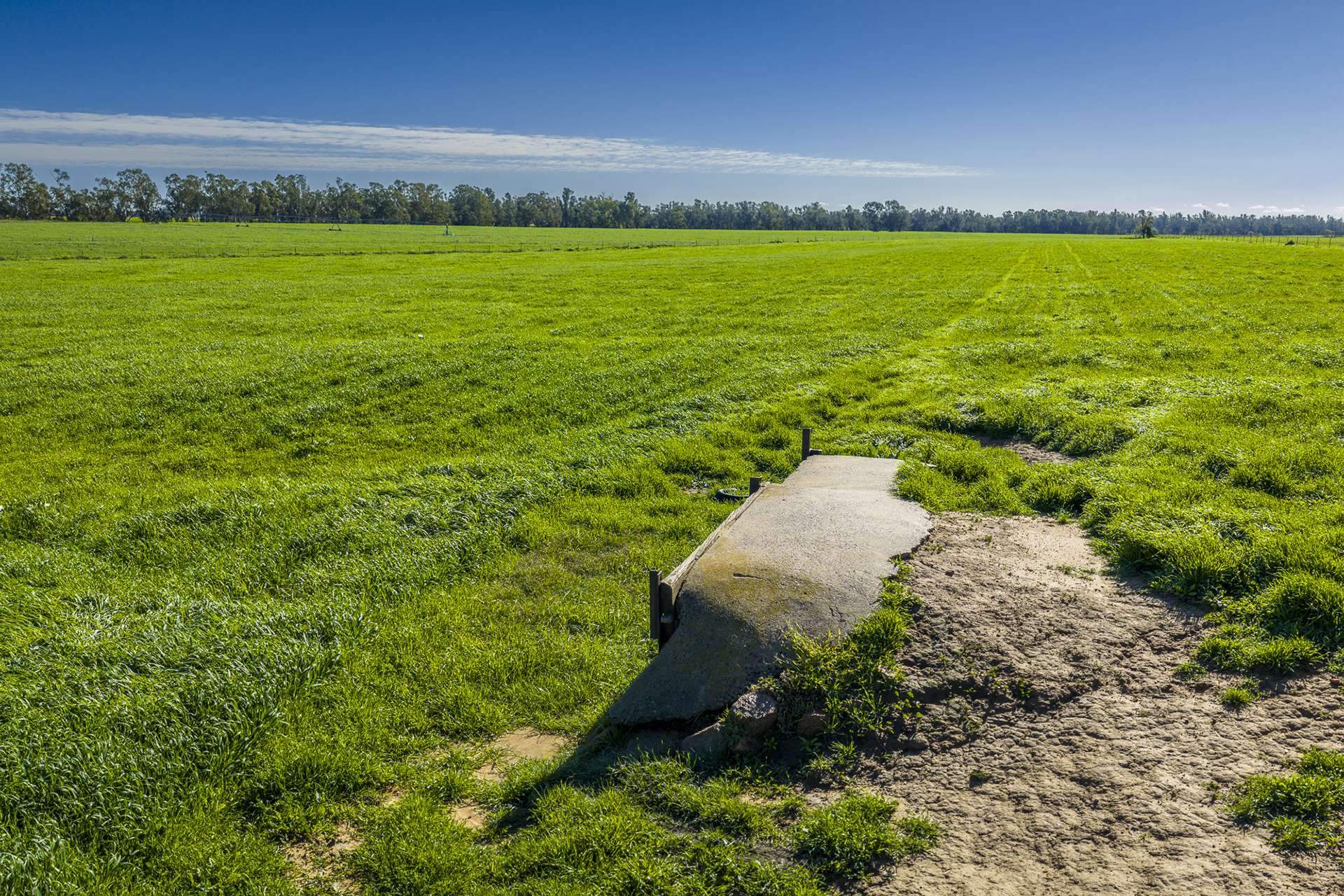 'San Diego Narromine Road, Dubbo Auction by Farmbuy.com - image 12