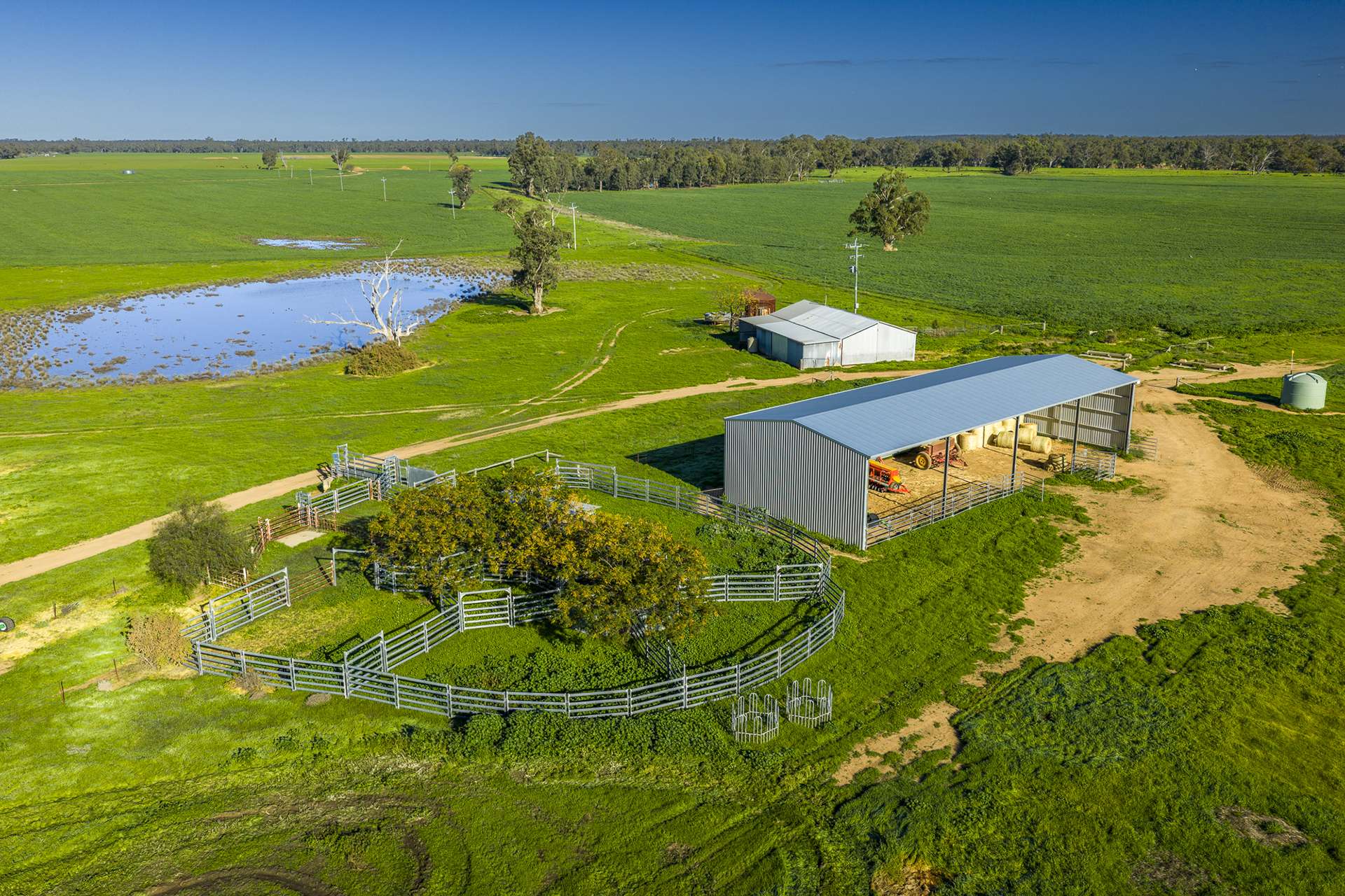 'San Diego Narromine Road, Dubbo Auction by Farmbuy.com - image 14