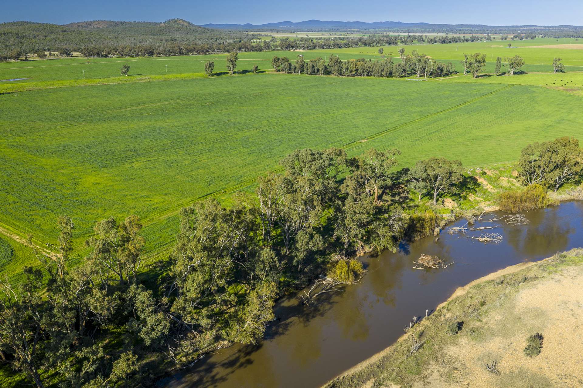 'San Diego Narromine Road, Dubbo Auction by Farmbuy.com - image 10