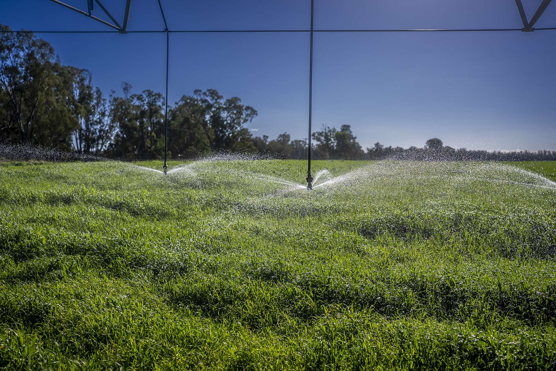 'San Diego Narromine Road, Dubbo Auction by Farmbuy.com - image 5