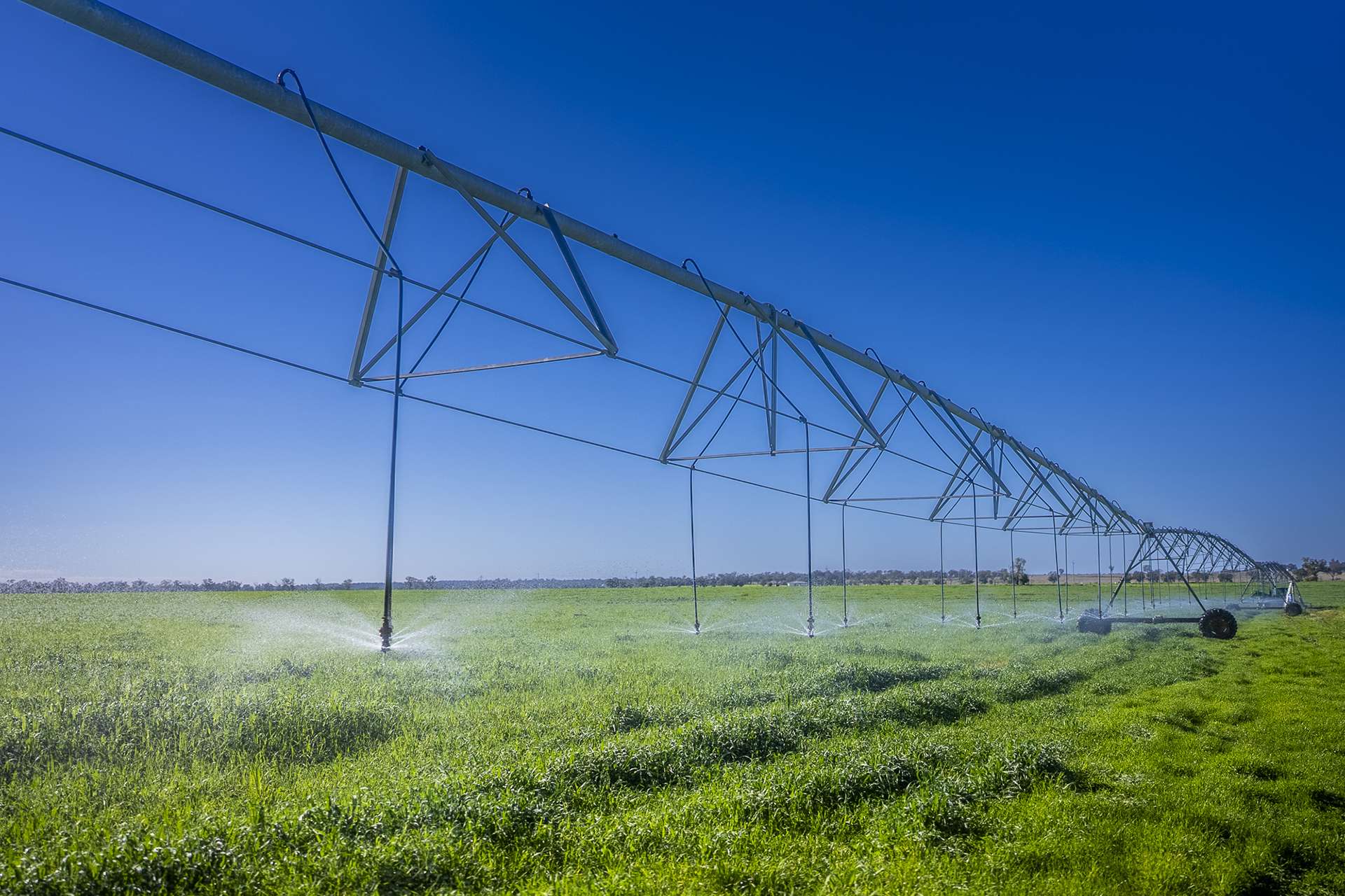 'San Diego Narromine Road, Dubbo Auction by Farmbuy.com - image 4