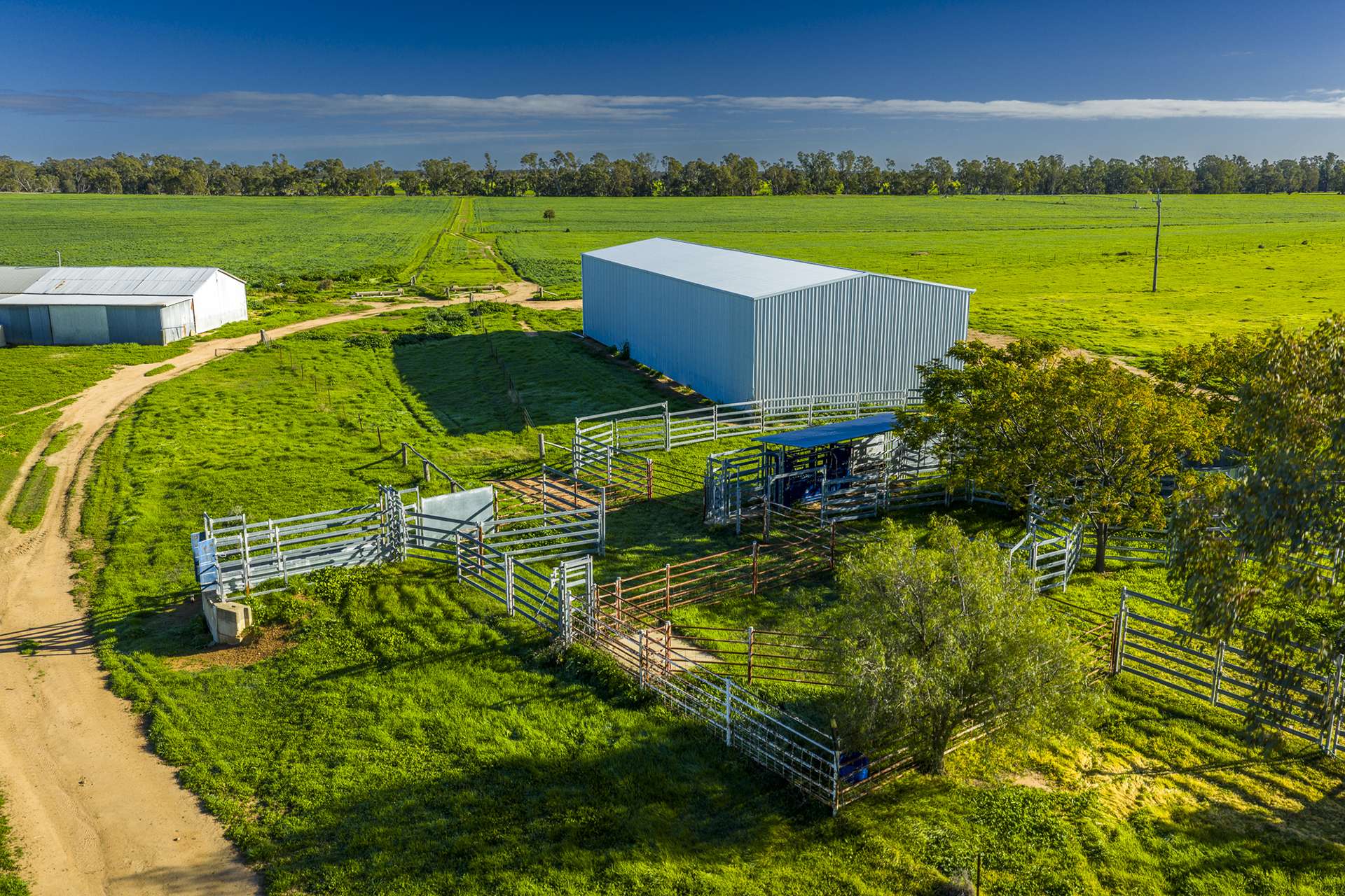 'San Diego Narromine Road, Dubbo Auction by Farmbuy.com - image 15
