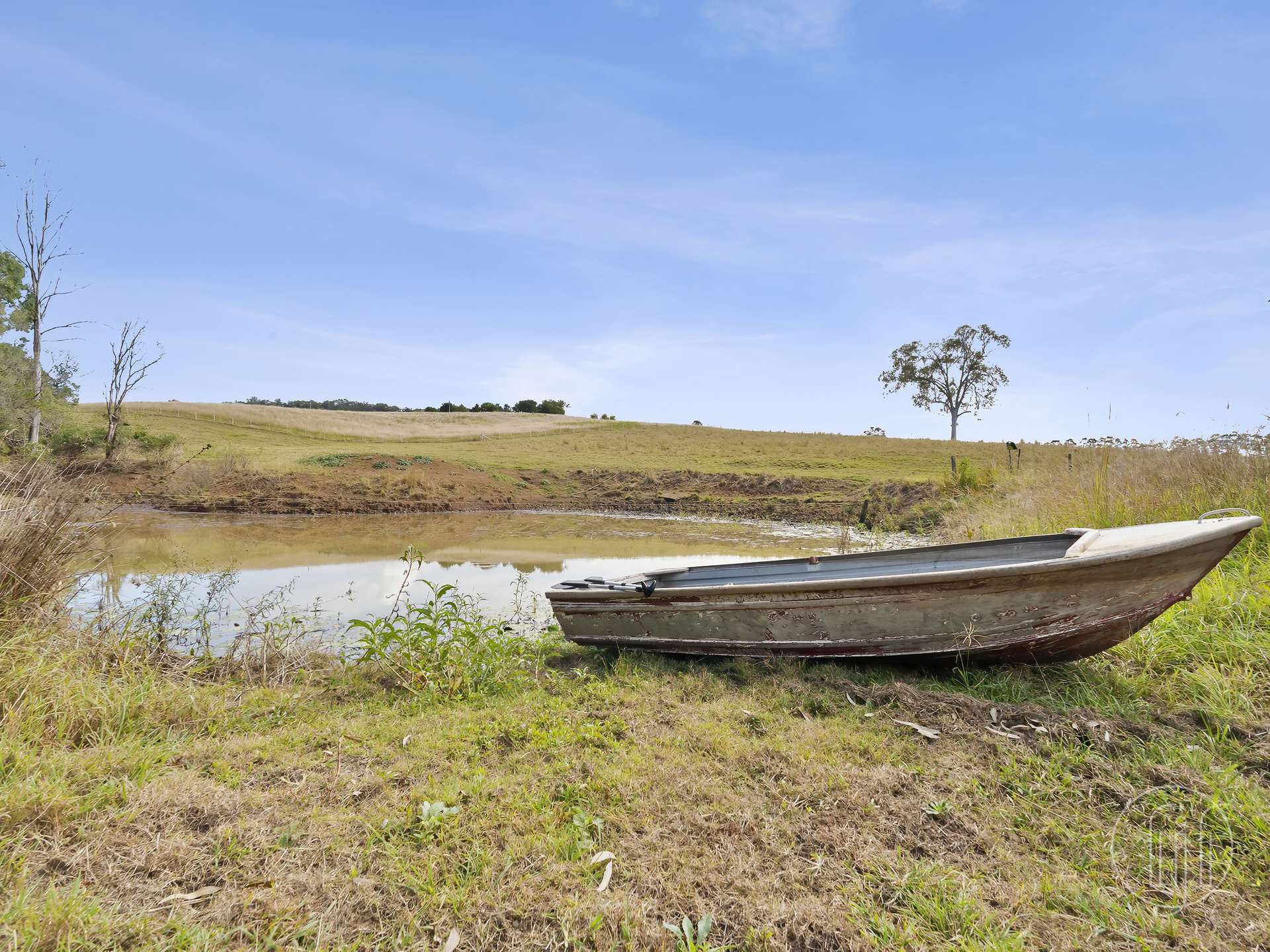 Amamoor For Sale by Farmbuy.com - image 8