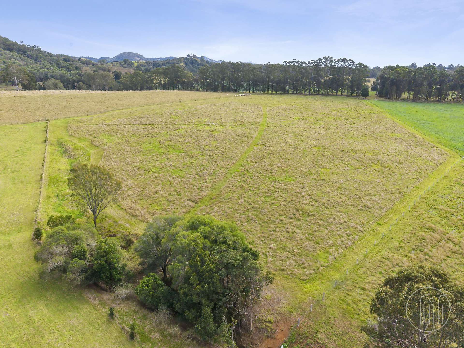 Amamoor For Sale by Farmbuy.com - image 12