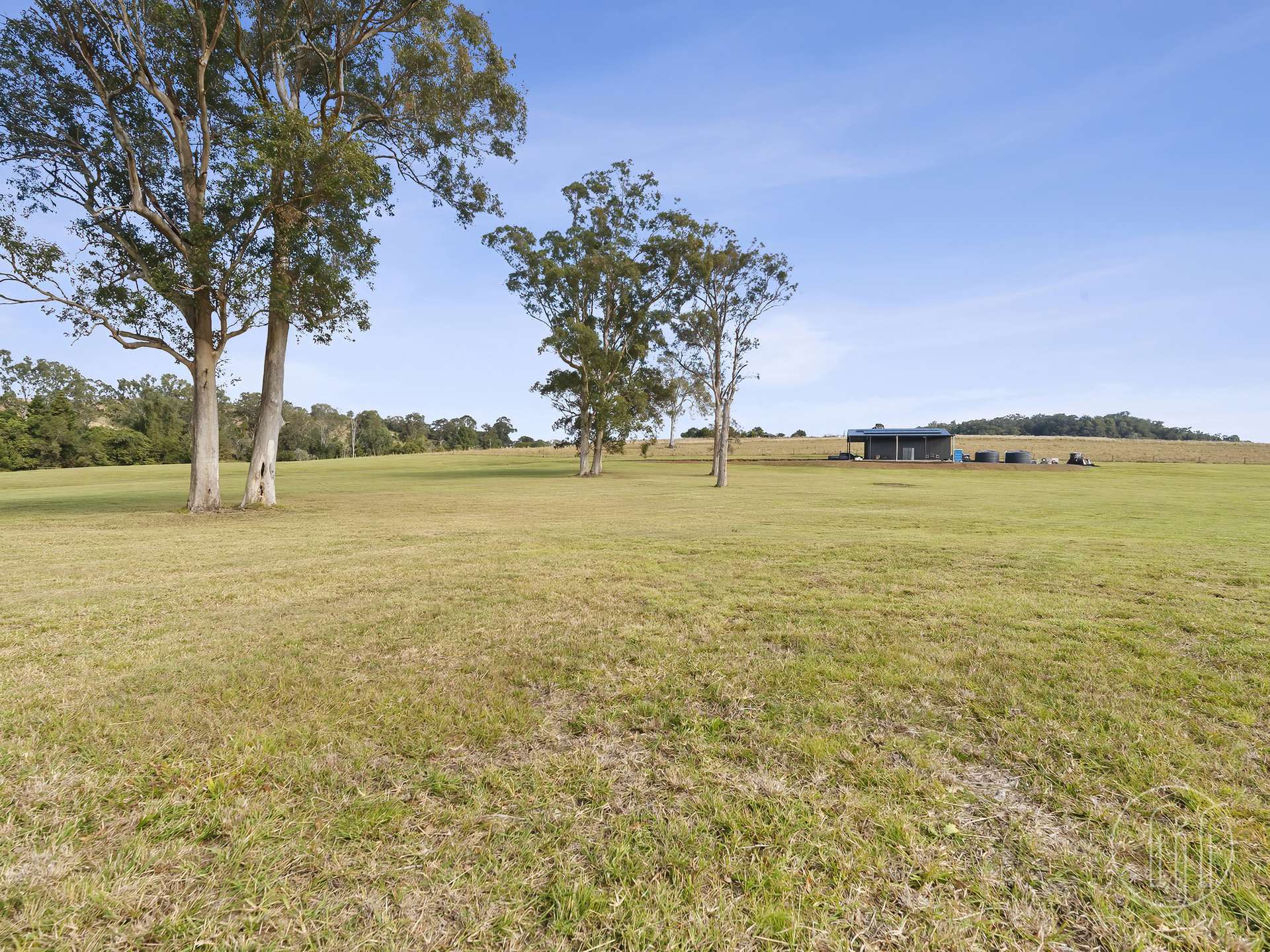 Amamoor For Sale by Farmbuy.com - image 11