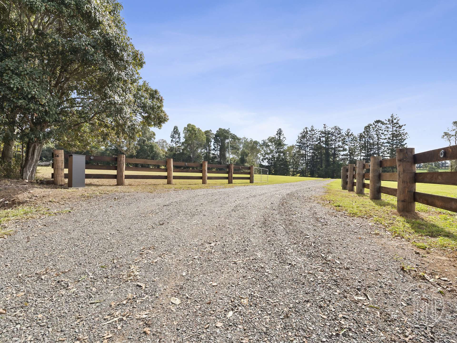 Amamoor For Sale by Farmbuy.com - image 3